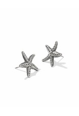 Kendra Scott Parker Starfish Metal Stud