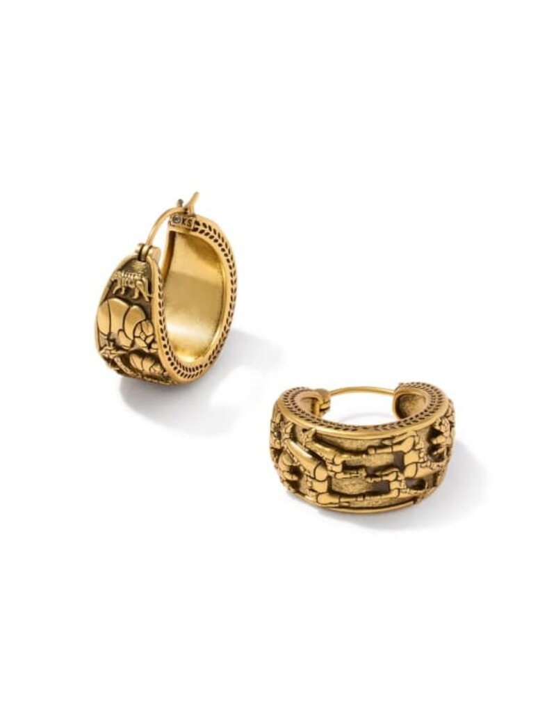 Kendra Scott Raina Hoop Earring