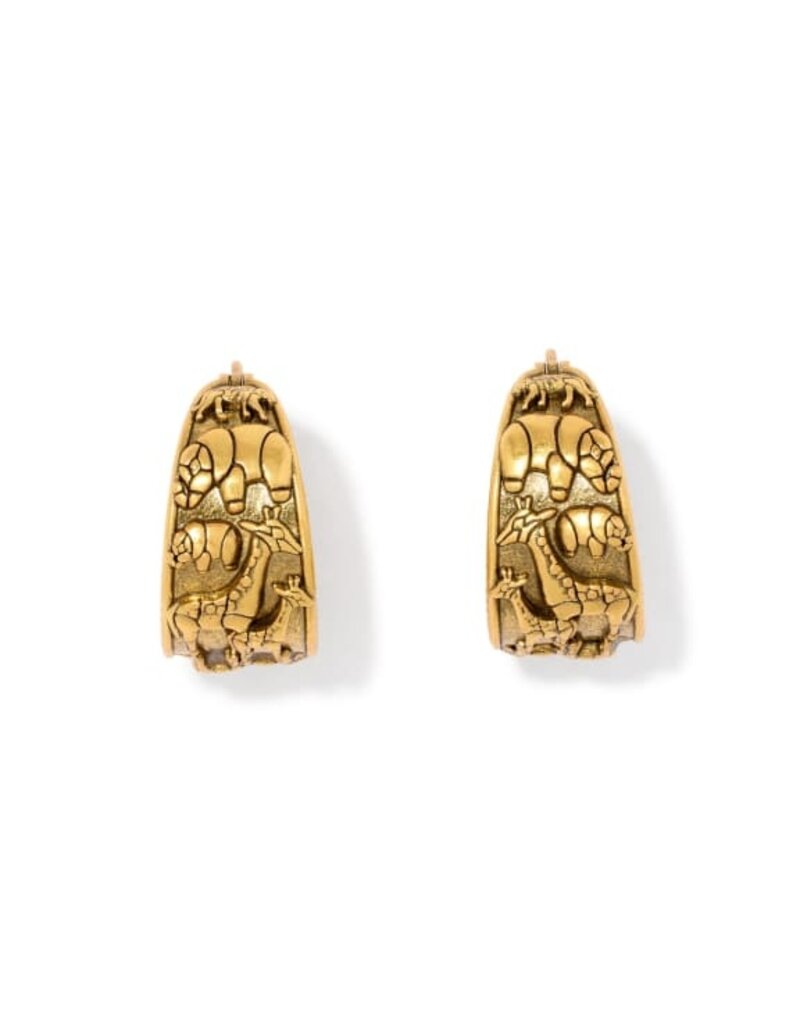 Kendra Scott Raina Hoop Earring