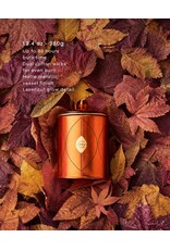 Glasshouse Holiday Triple Scented 13.4oz Candle