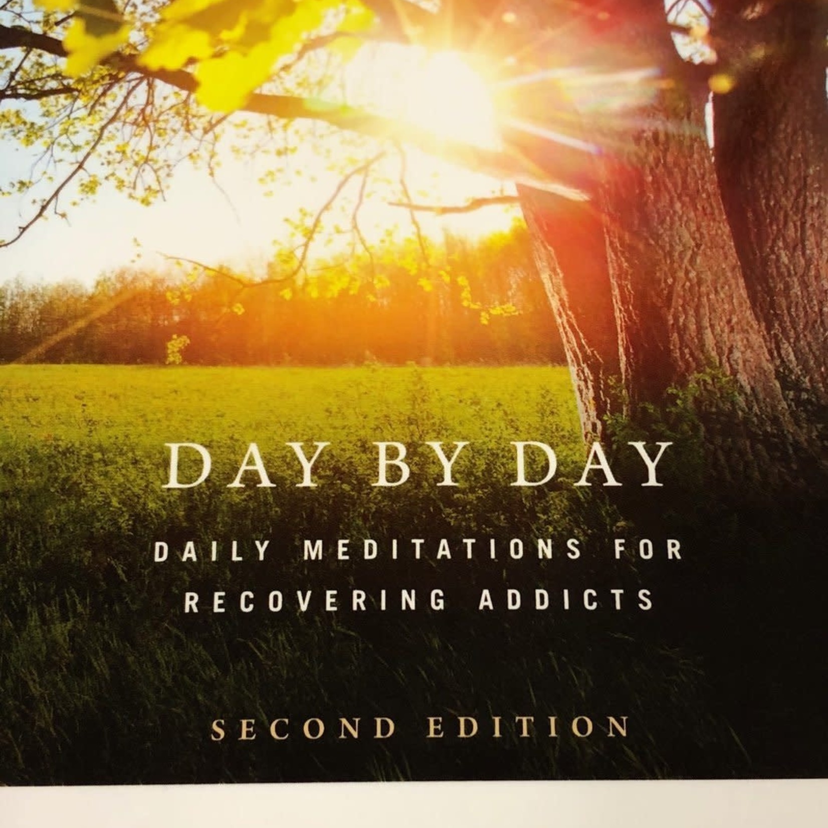 Day By Day Meditation