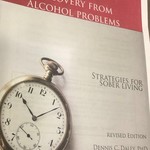 Recovery From Alcohol Problems