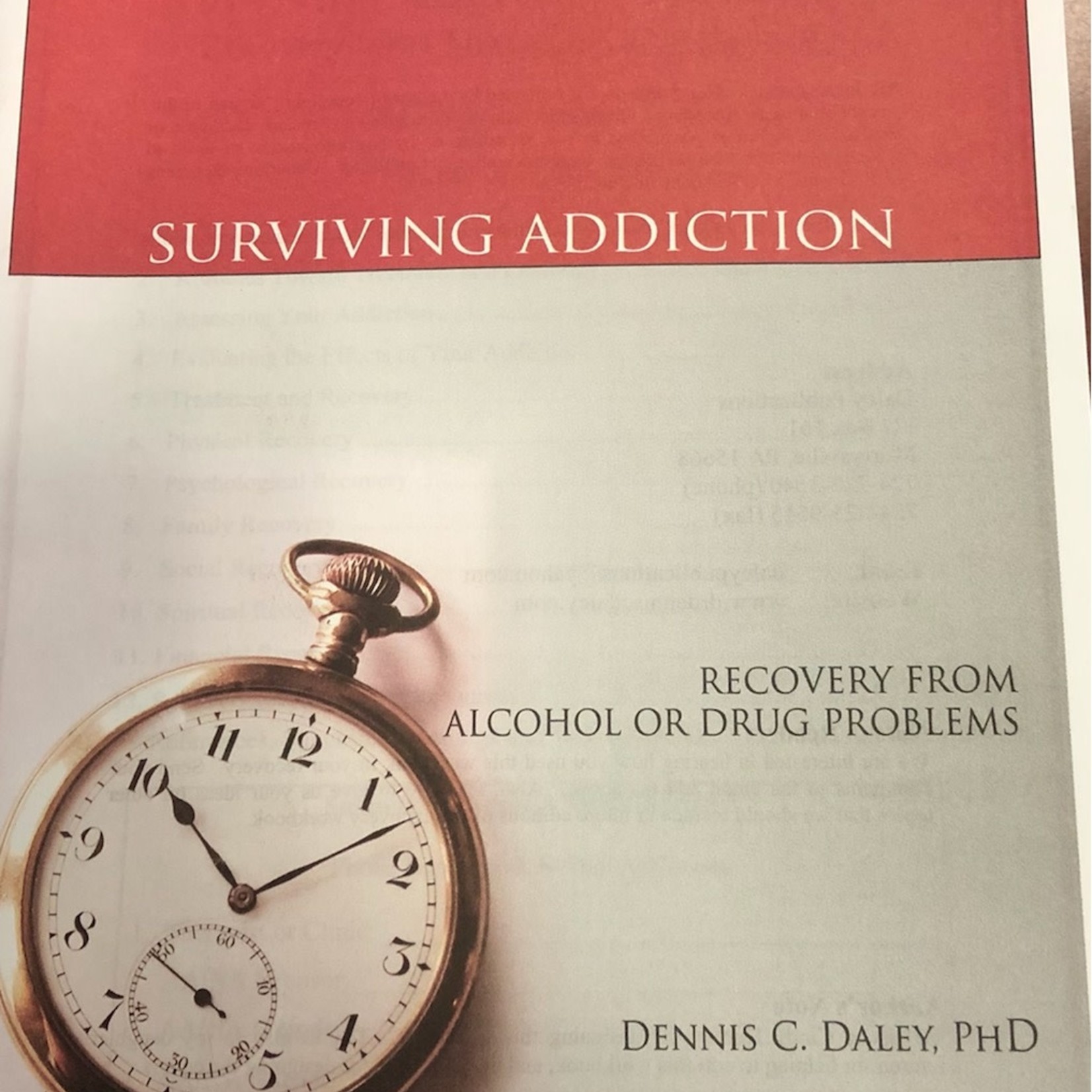 Surviving Addiction Workbook