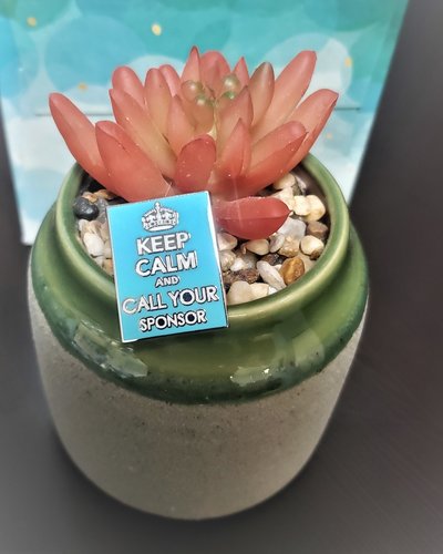 Valley Graphics Keep Calm Label pin
