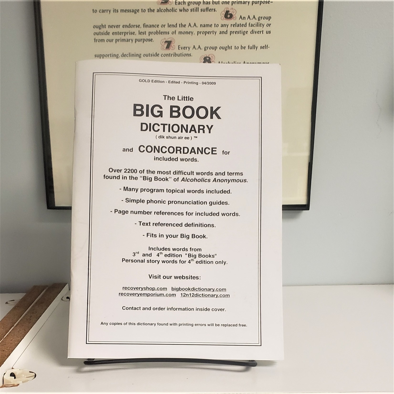 Big Book Dictionary (Large Print)