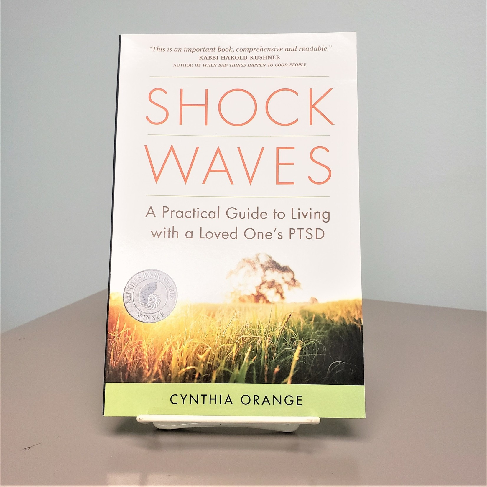 Shock Waves- Living with a loved one with PTSD