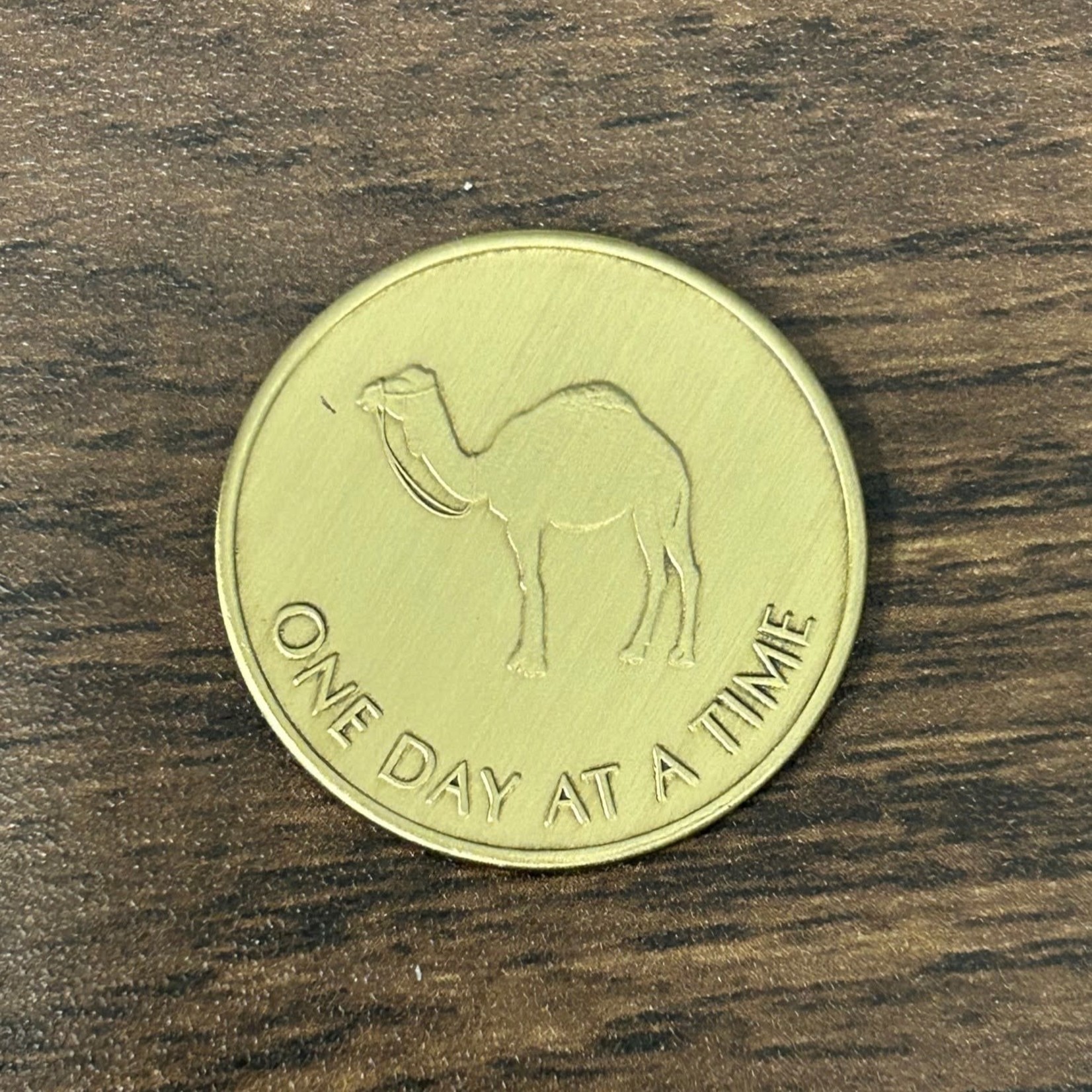 Gratitude Coin [ODAT Camel/Serenity Prayer]