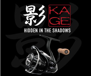 Daiwa Daiwa Kage LT Spinning Reel - Tackle Shack