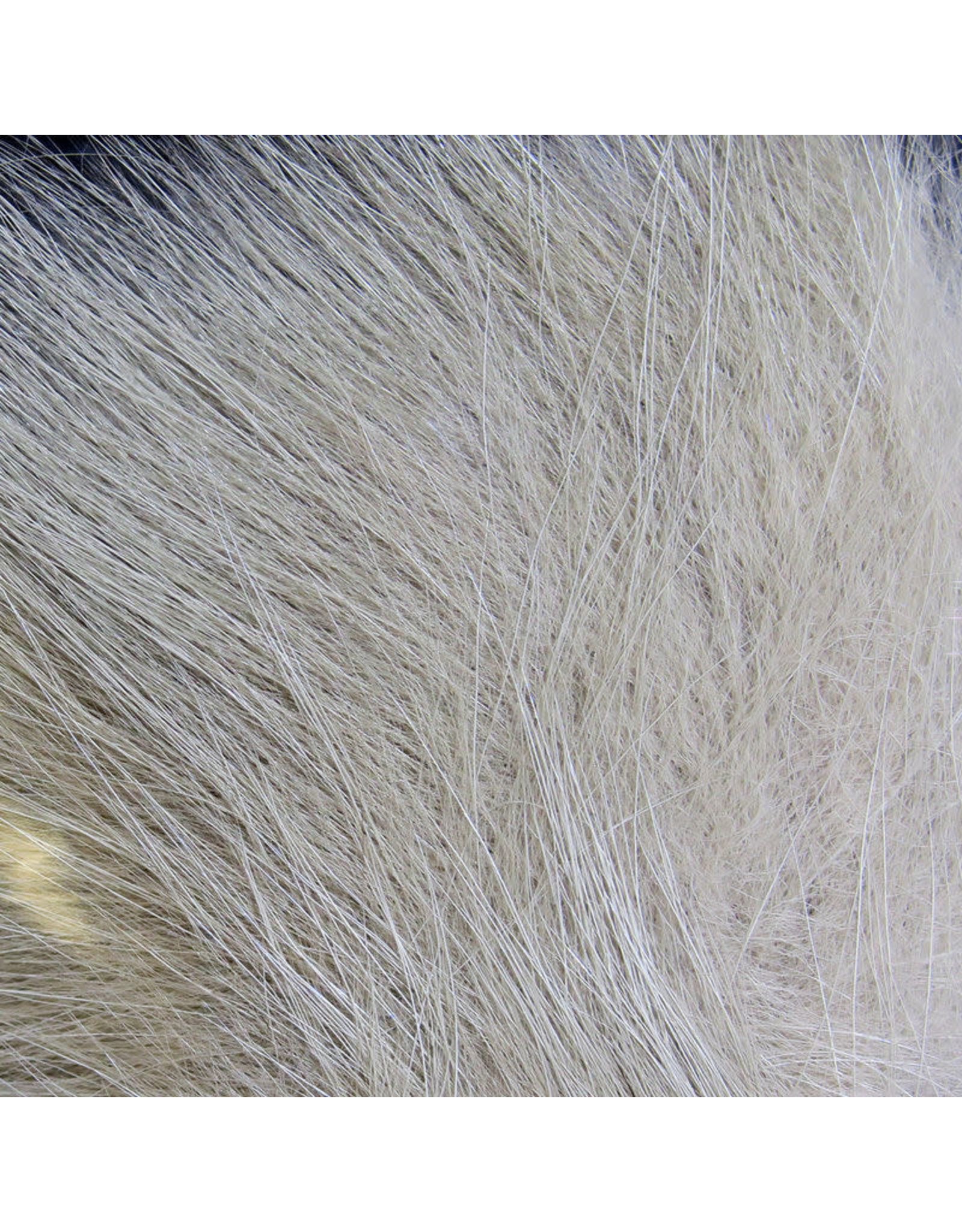 Hareline Dubbin Hareline Arctic Fox Hair