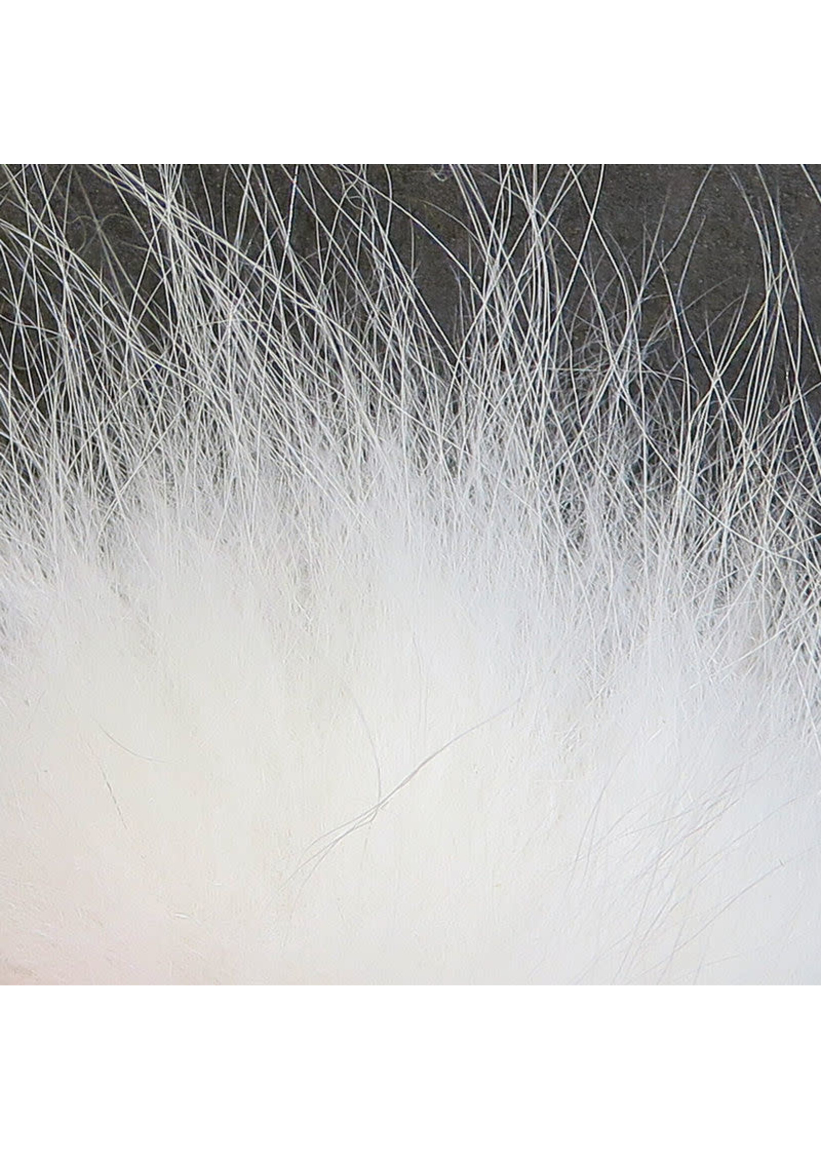 Hareline Dubbin Hareline Arctic Fox Hair