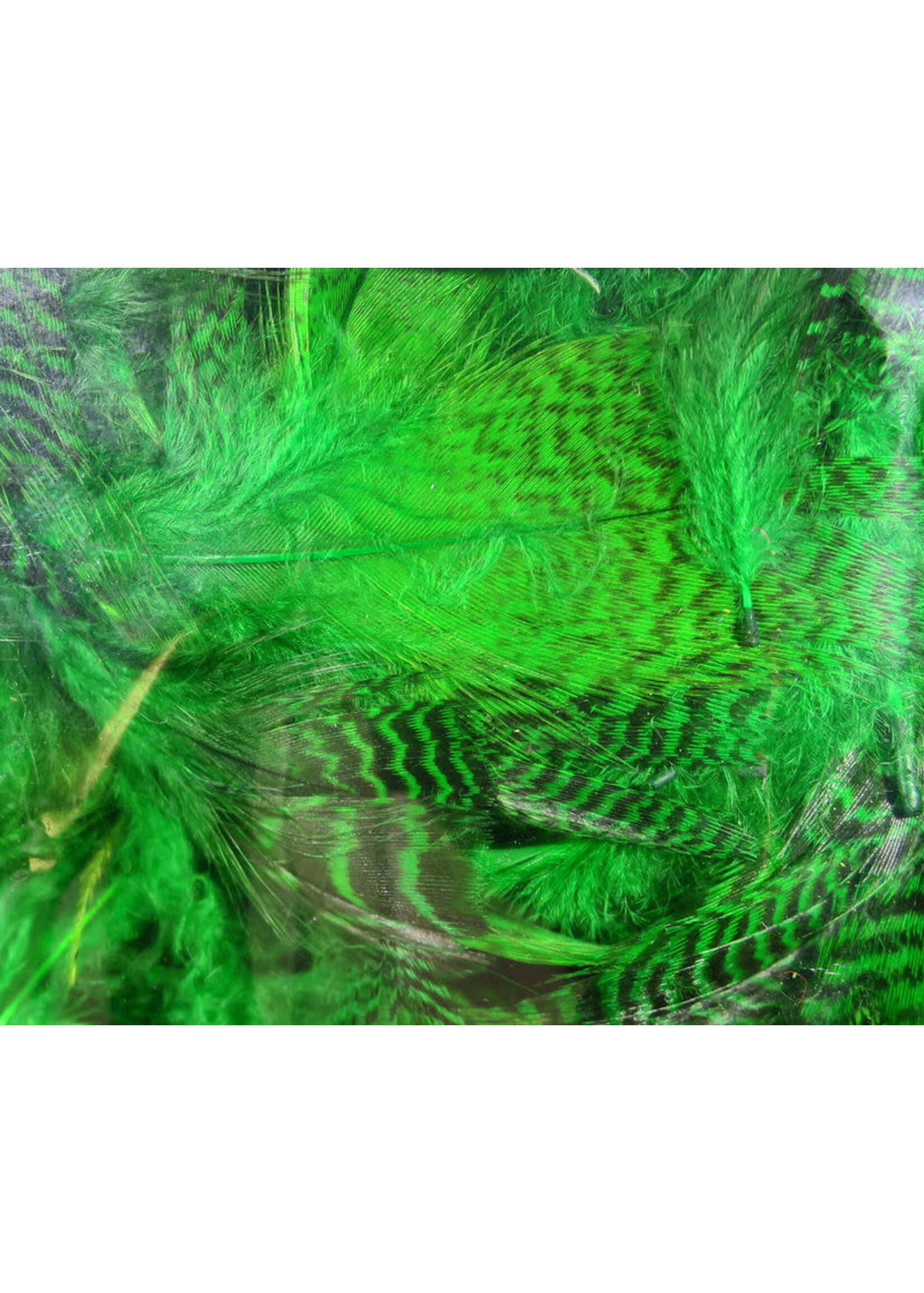 Hareline Dubbin Hareline Teal Flank Feathers