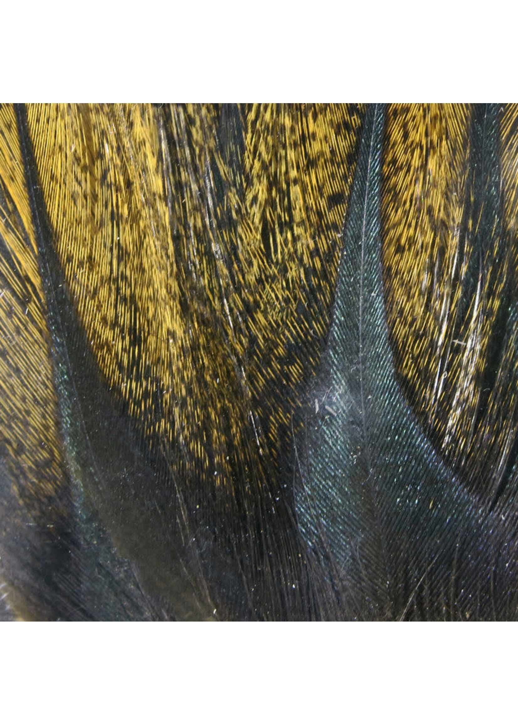 Hareline Dubbin Gallo De Leon Saddle Feathers