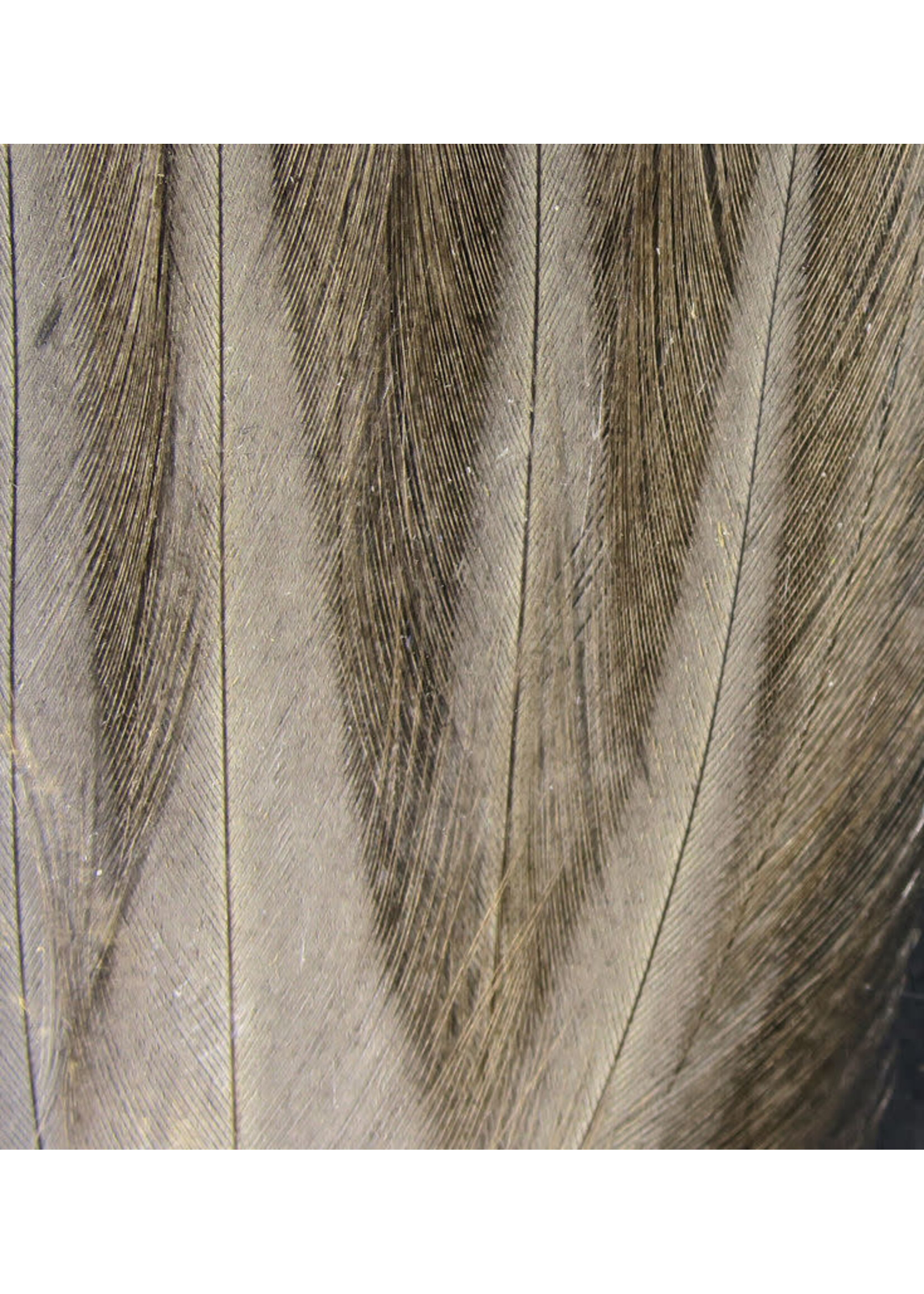 Hareline Dubbin Gallo De Leon Saddle Feathers