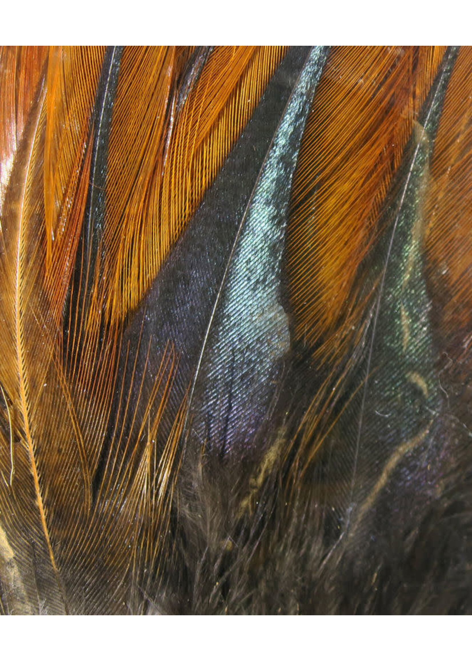 Hareline Dubbin Hareline Gallo De Leon Saddle Feathers