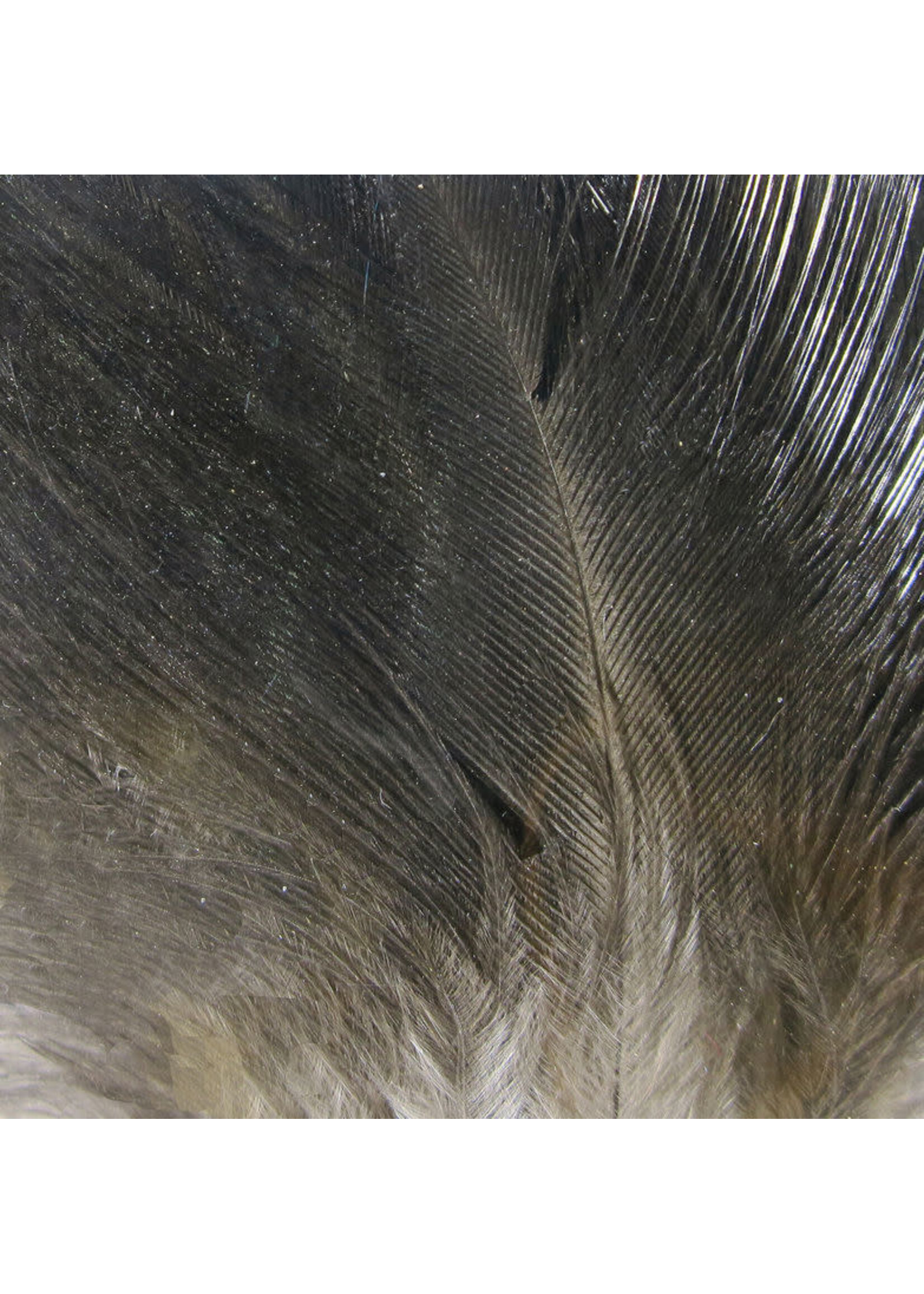 Hareline Dubbin Hareline Gallo De Leon Saddle Feathers