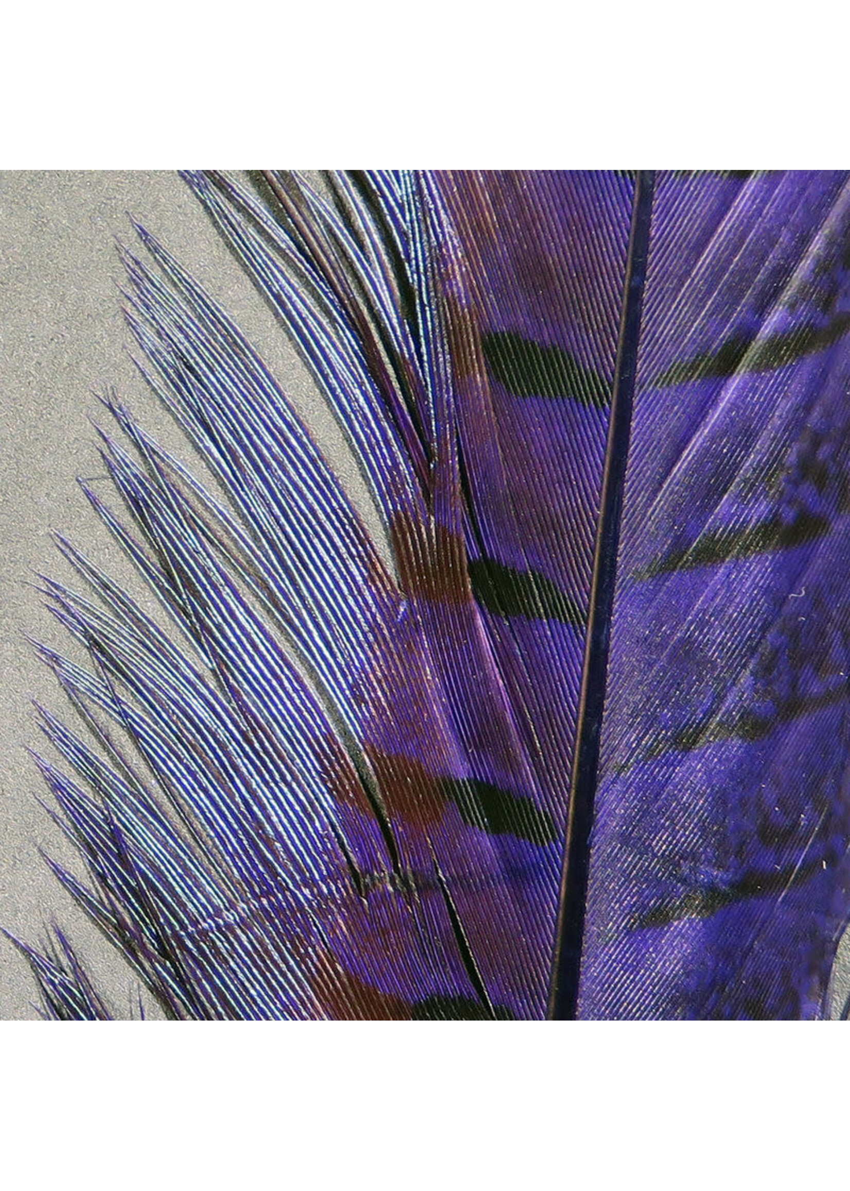 Hareline Dubbin Hareline Ringneck Pheasant Tail Feather