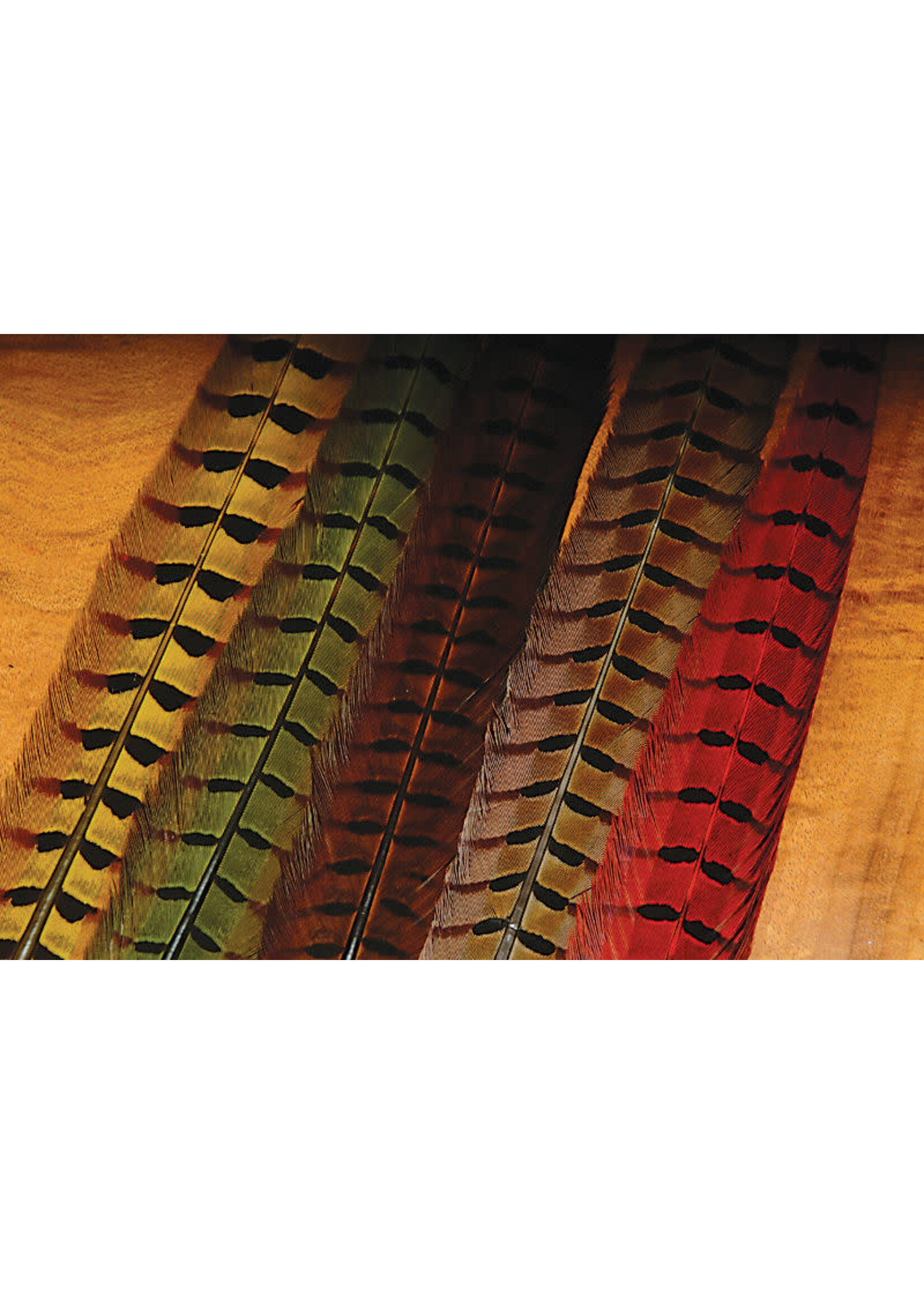 Hareline Dubbin Hareline Ringneck Pheasant Tail Feather