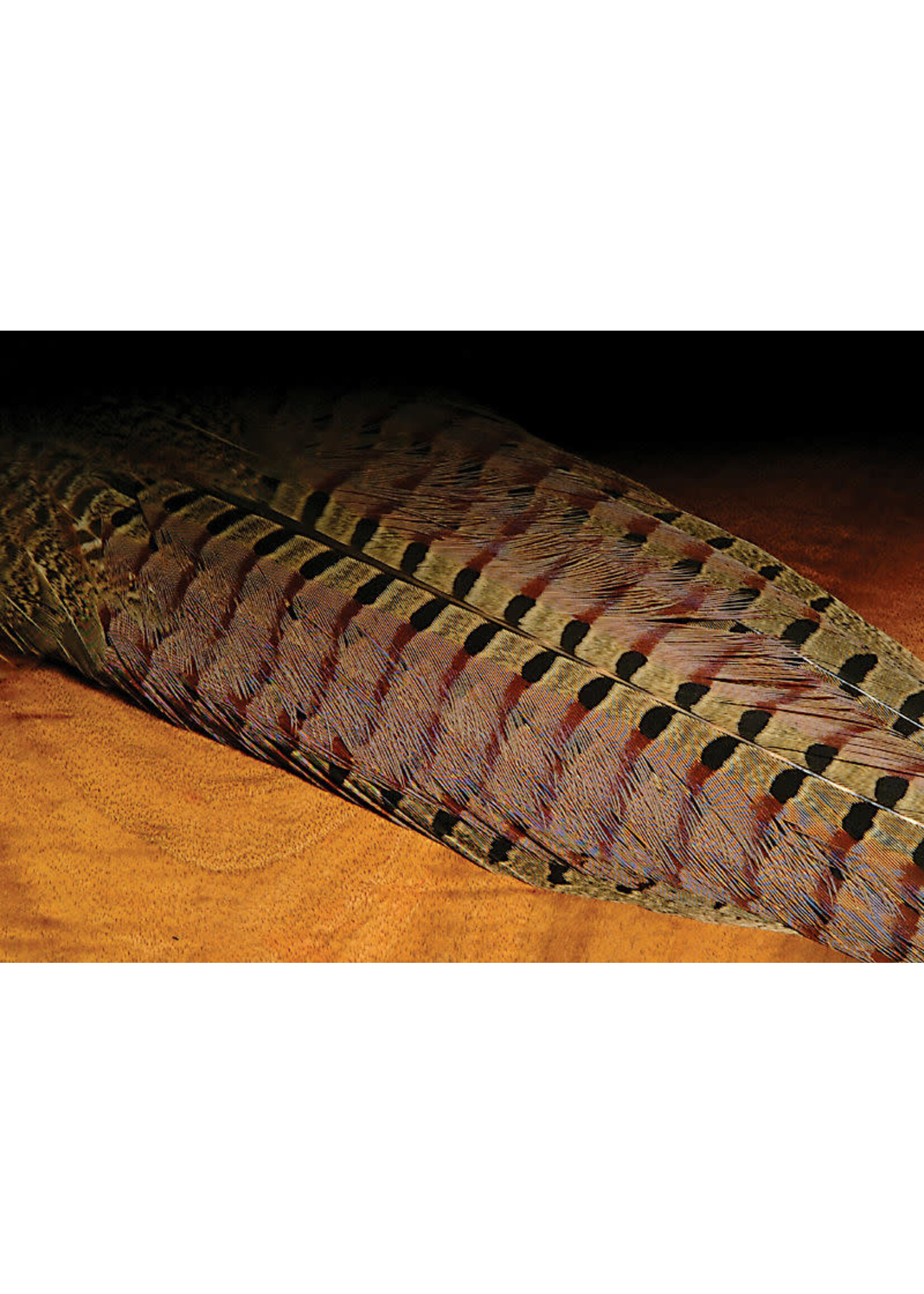 Hareline Dubbin Ringneck Pheasant Complete Tail Clump Natural