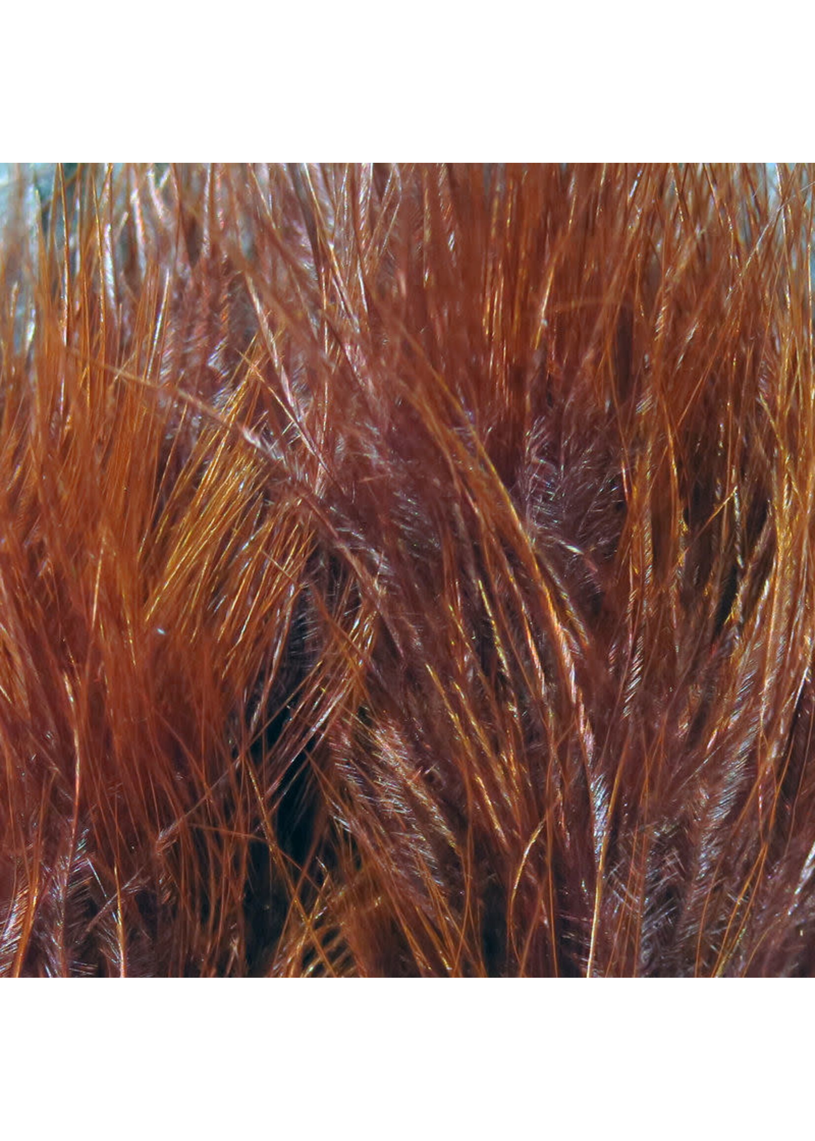 Hareline Dubbin Hareline Strung Marabou Blood Quills