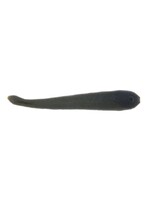 Berkley Fishing Berkley Gulp! 3" Leech