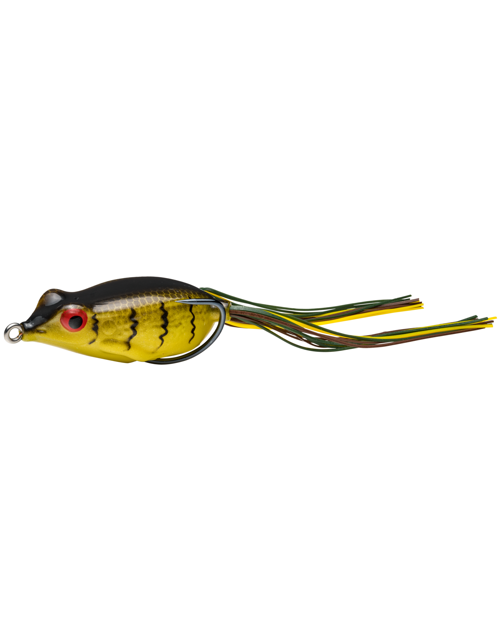 kvd frog