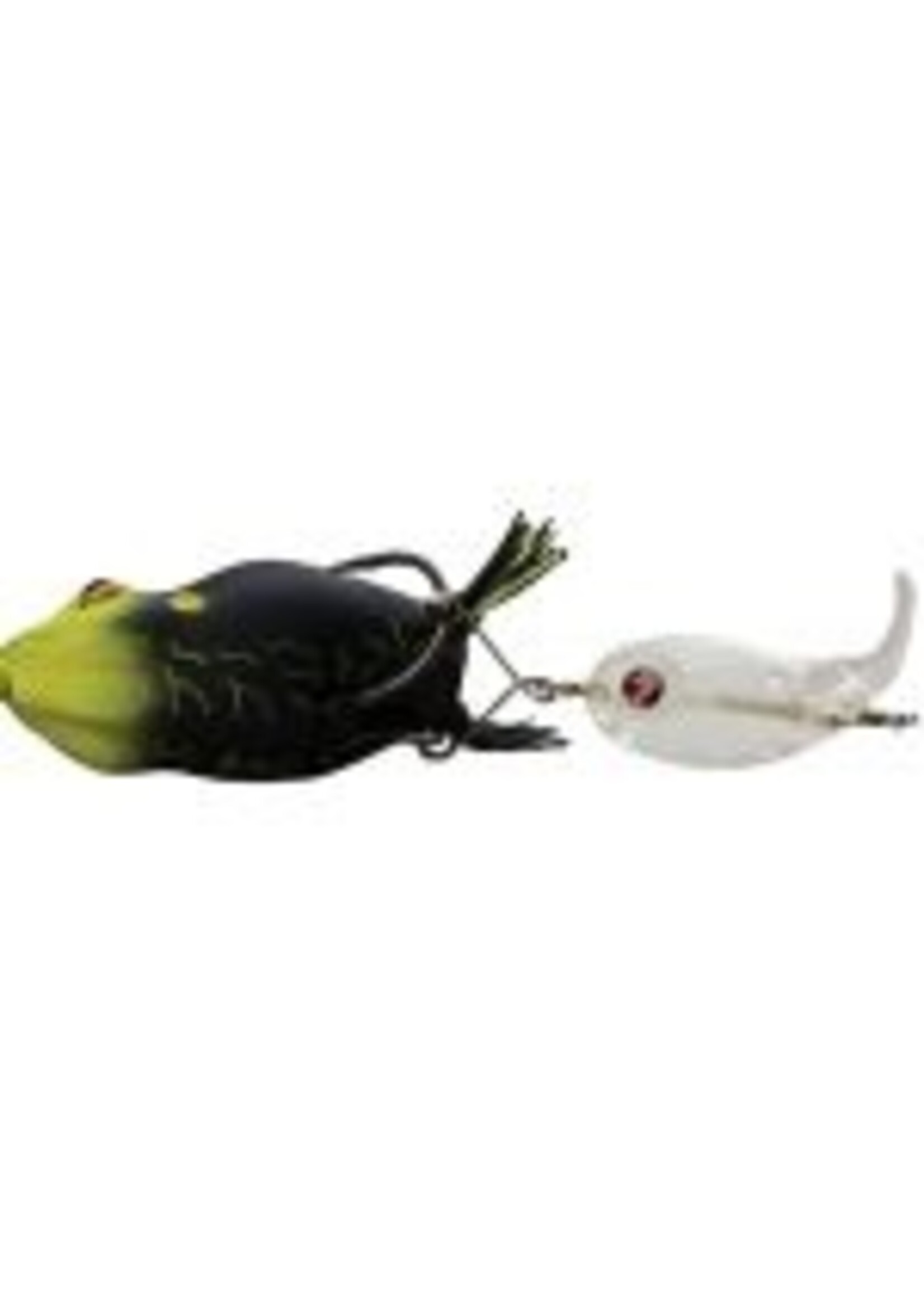 River2Sea River2Sea Frog Kit