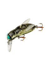 Rebel Rebel Bumble Bug