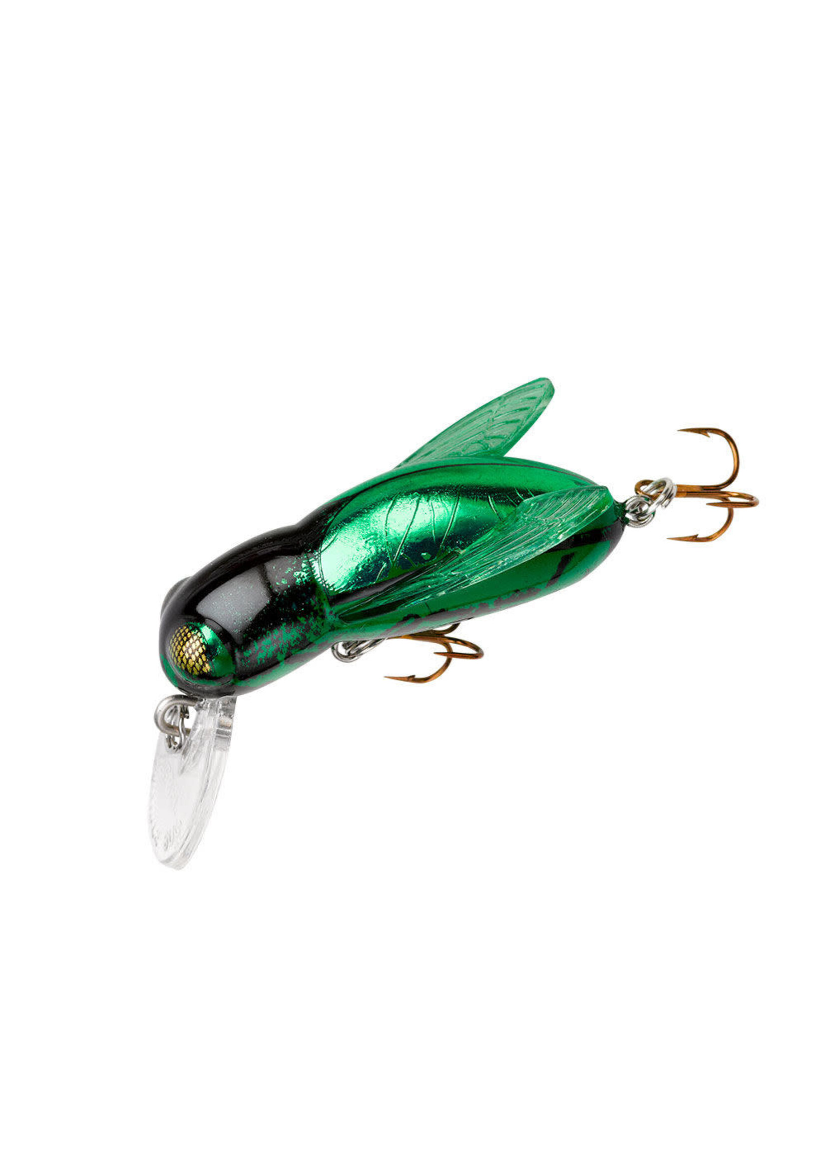 Rebel Rebel Bumble Bug