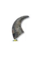 Tailfin Sports Premium Buffalo Horn Sections