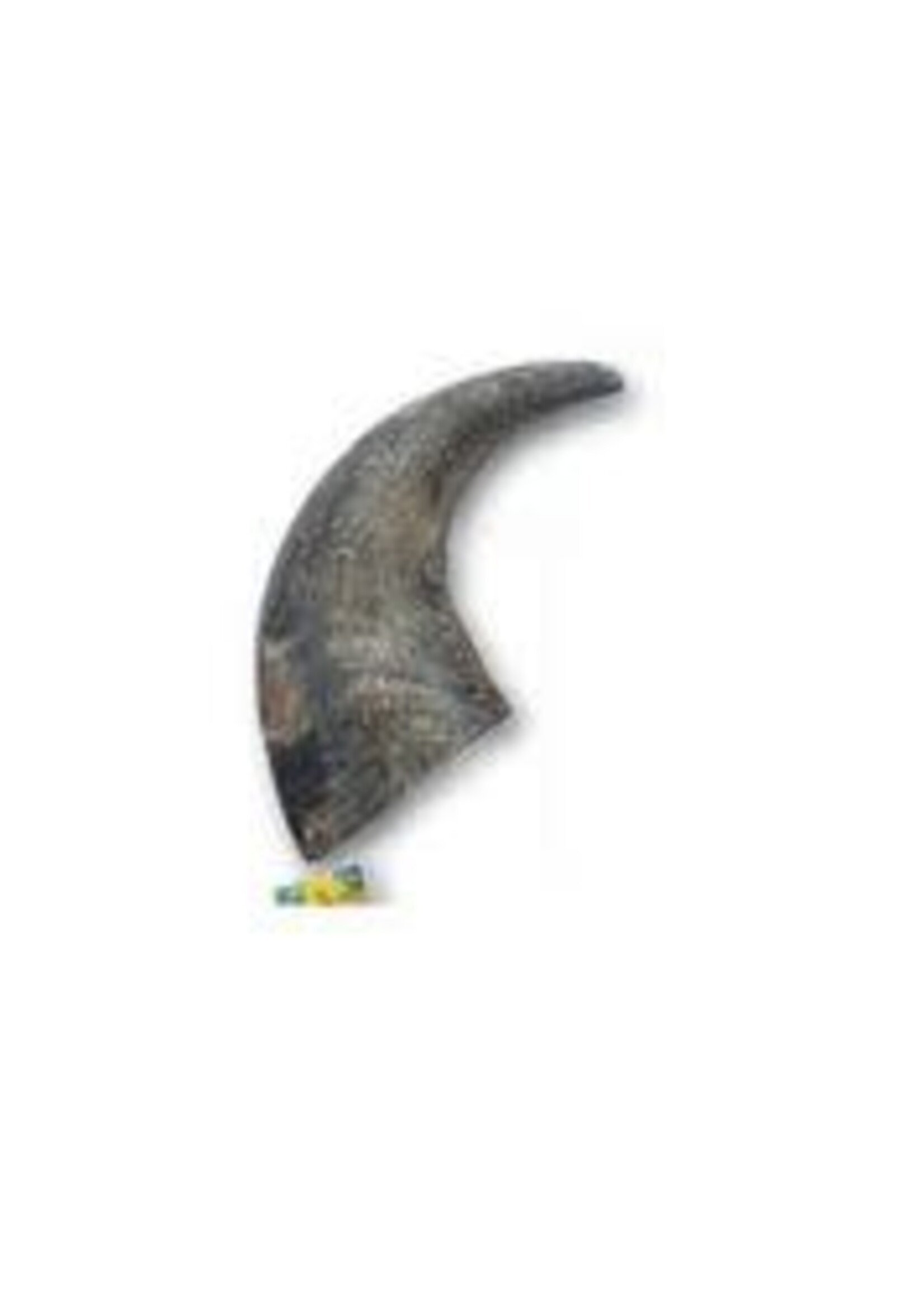 Tailfin Sports Premium Buffalo Horn Sections