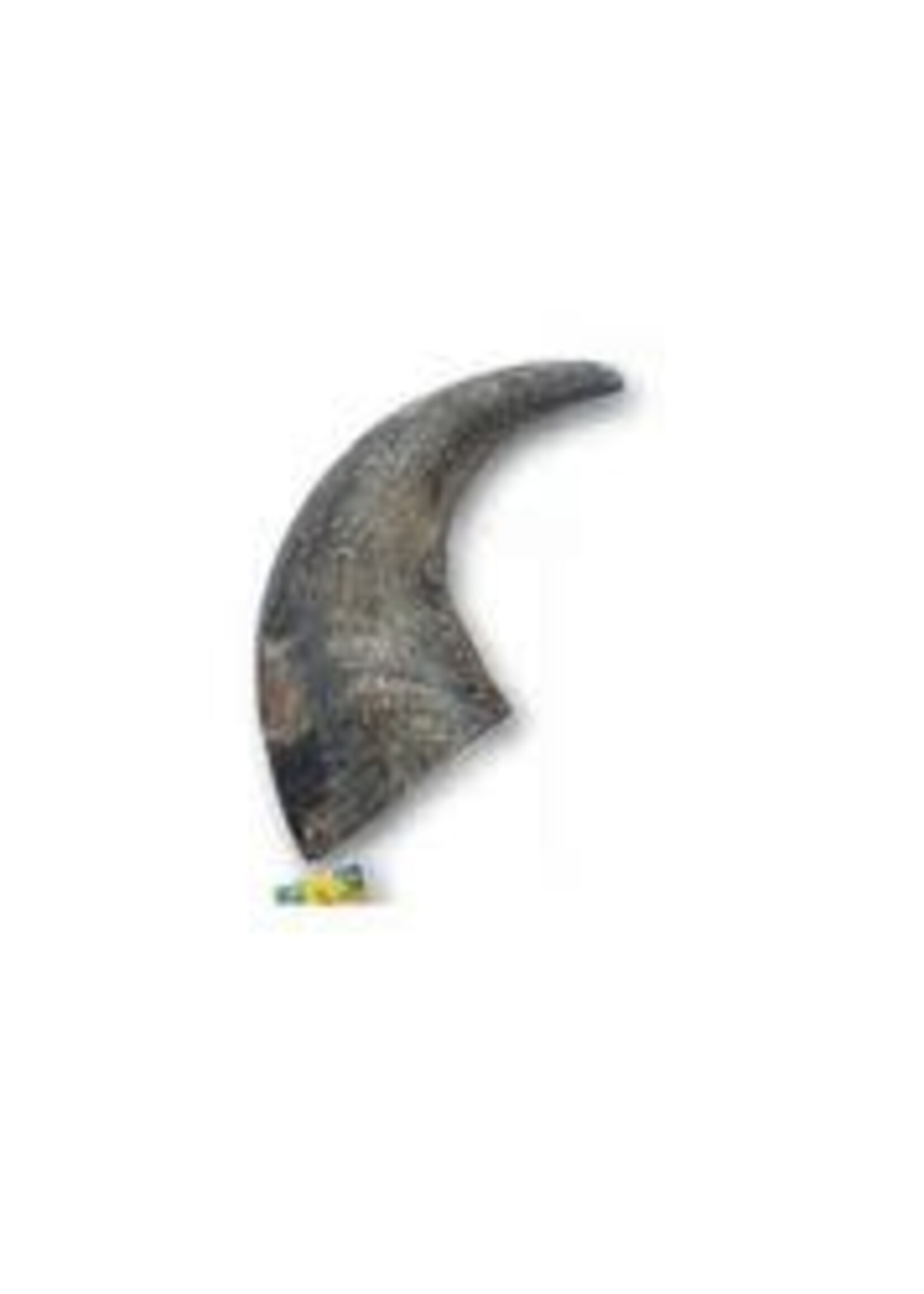Tailfin Sports Water Buffalo Horn - Extra Large