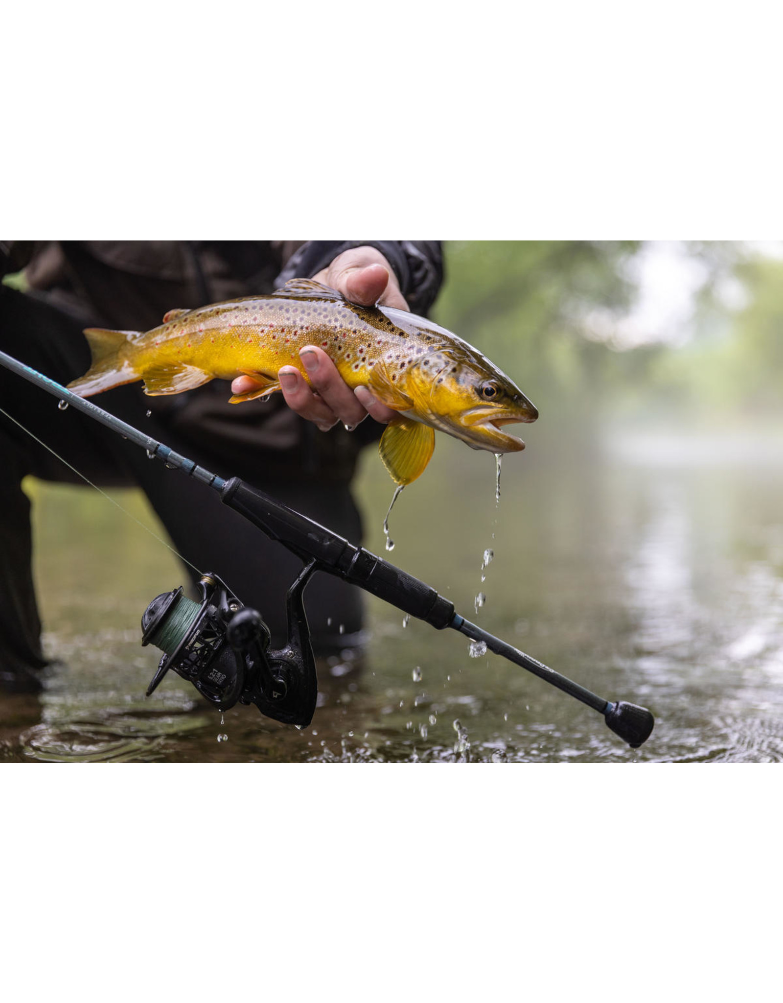 St. Trout Series Spinning Rods - Shack