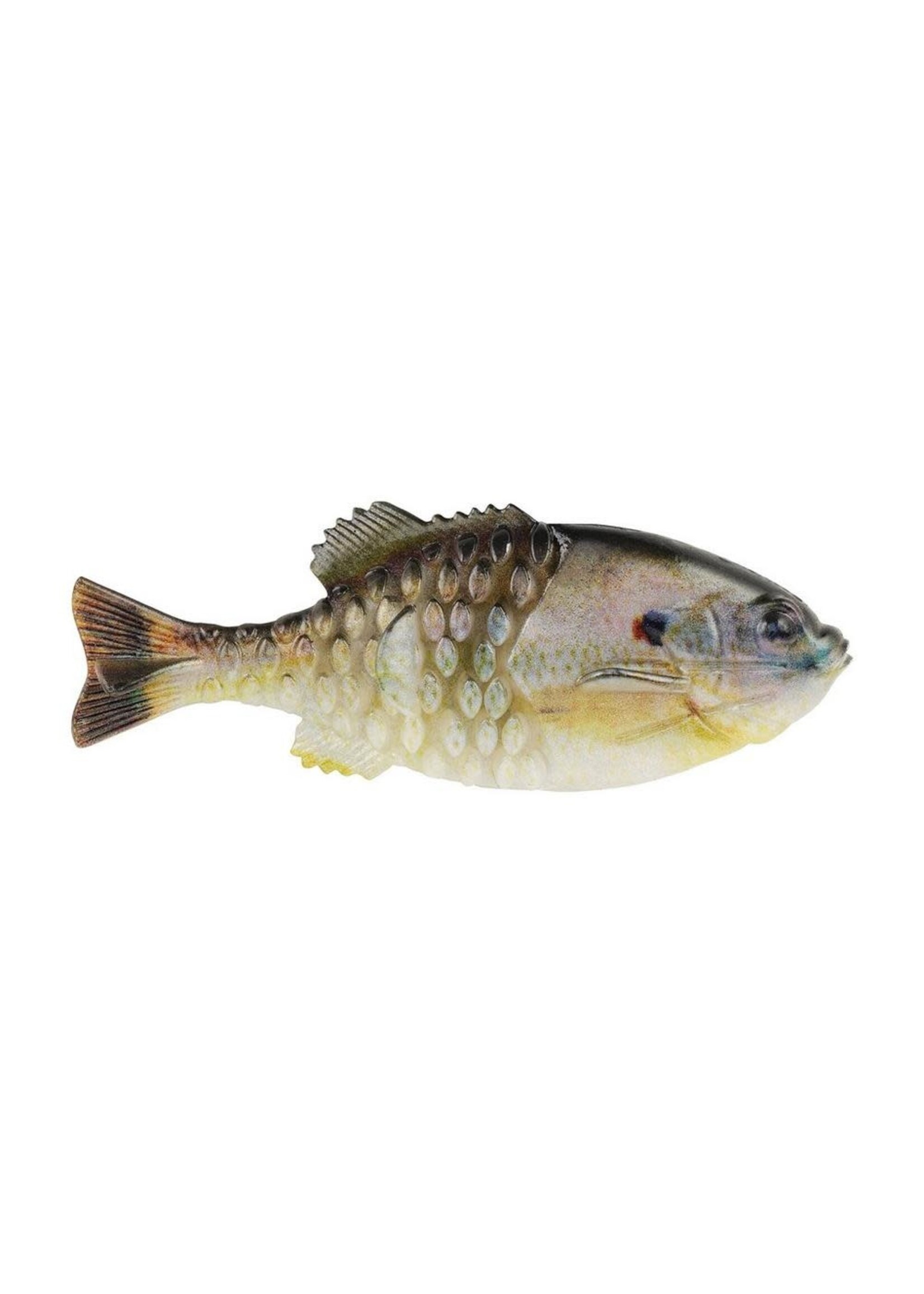 Berkley Fishing Berkley PowerBait Gilly