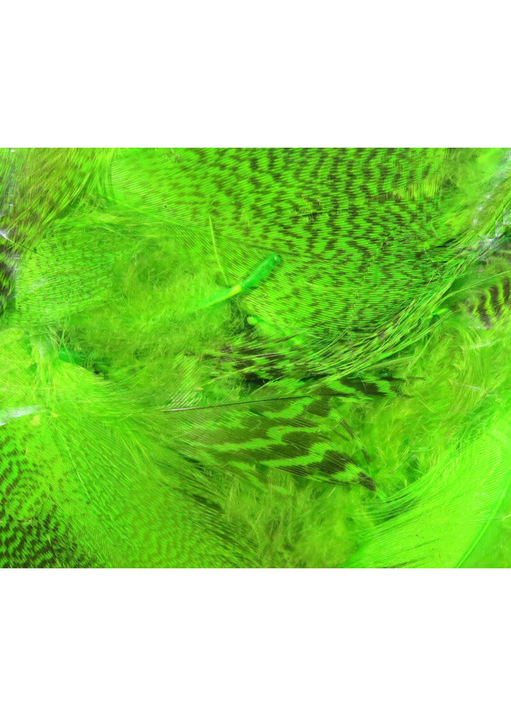 Hareline Dubbin Hareline Teal Flank Feathers