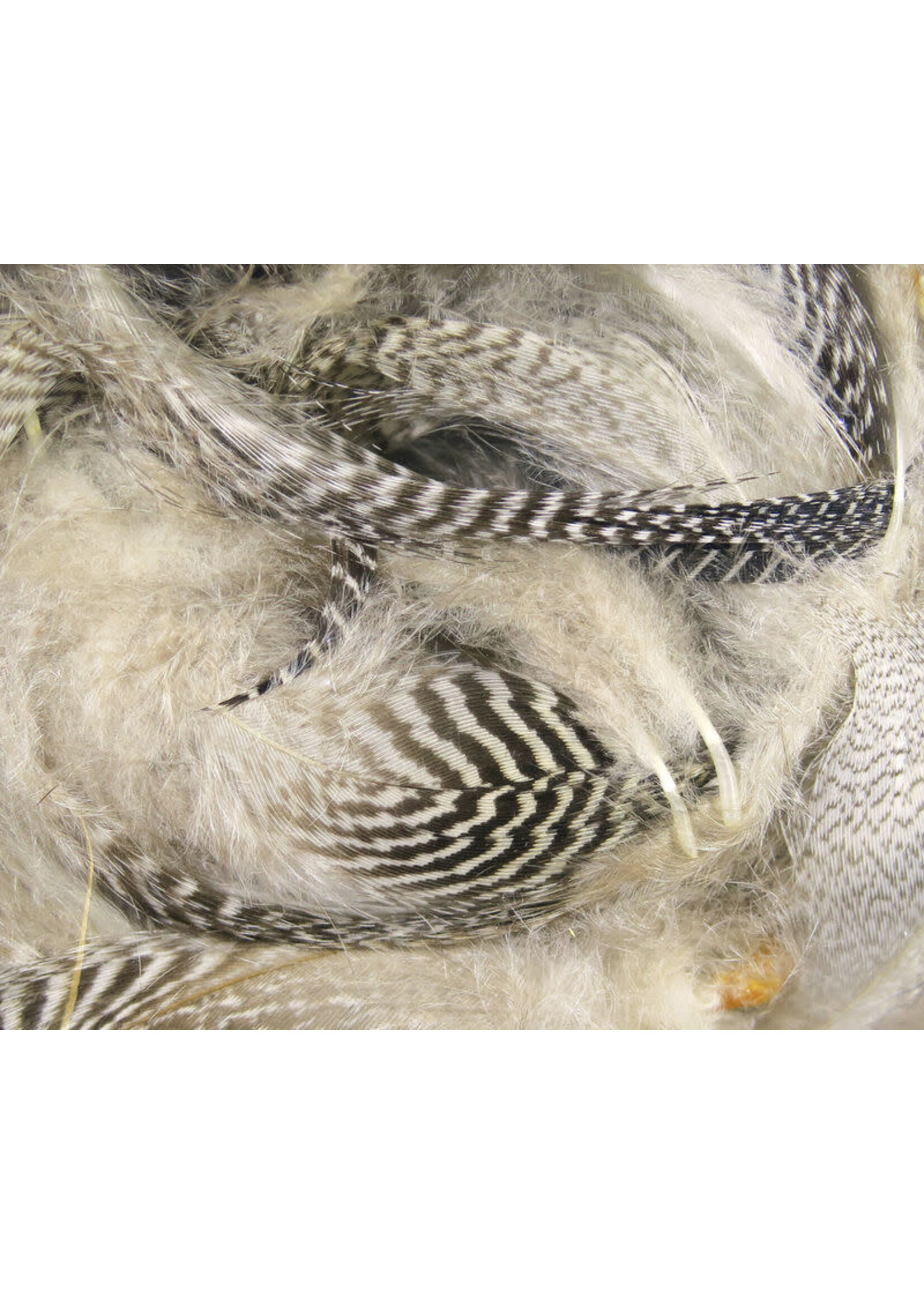 Hareline Dubbin Hareline Teal Flank Feathers