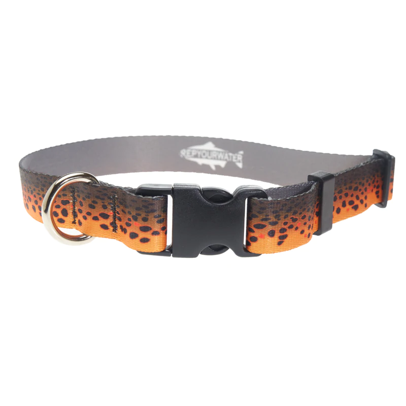 RepYourWater Wingo Dog Collars Tackle Shack