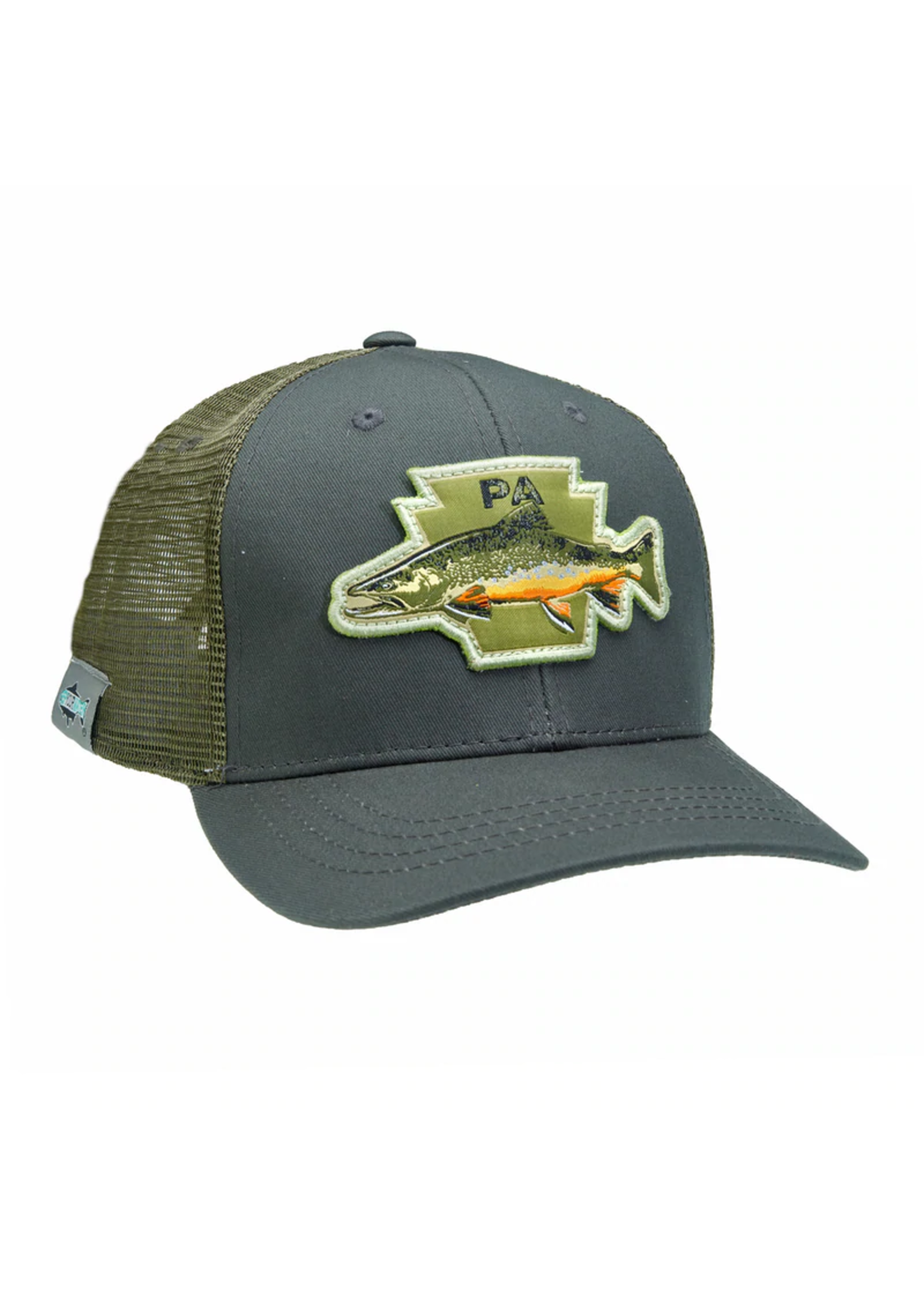 Rep Your Water RepYourWater Pennsylvania Brook Trout Standard Fit Hat