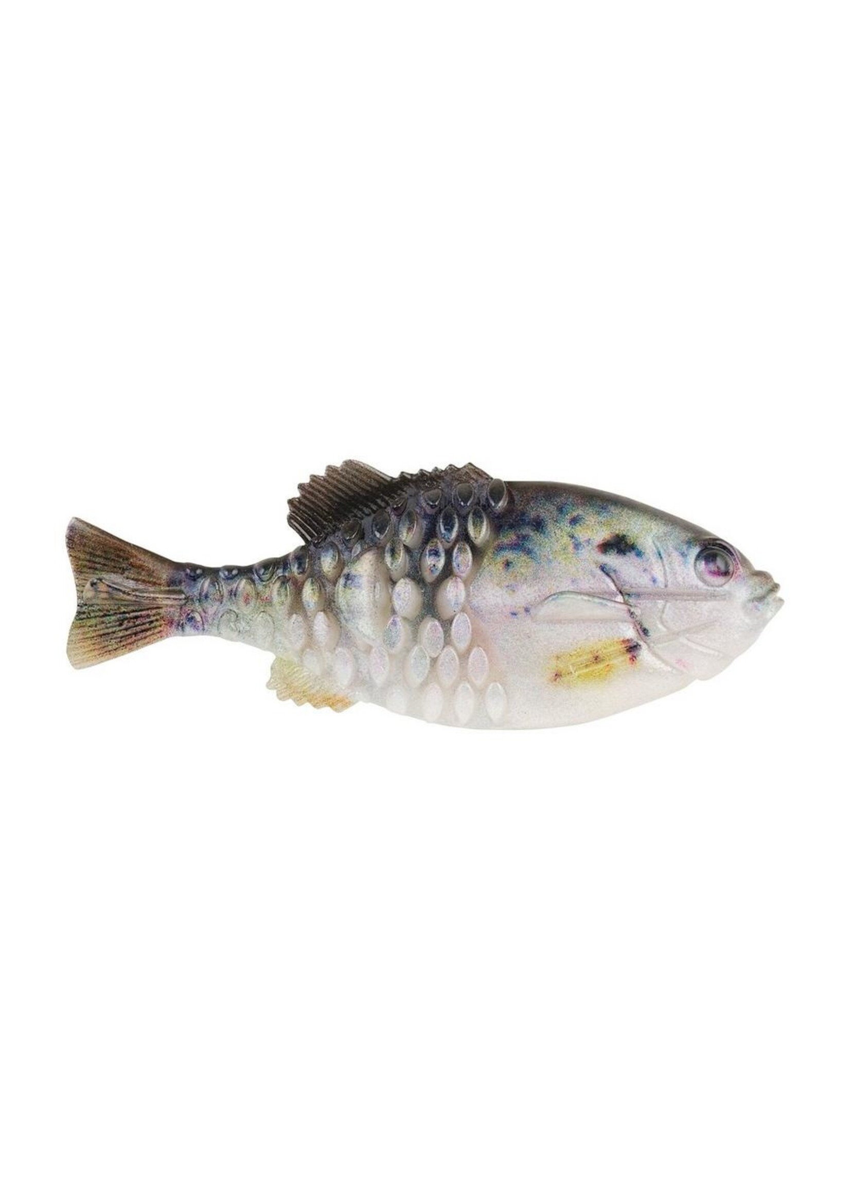 Berkley PowerBait Gilly 130mm / Watermelon Candy