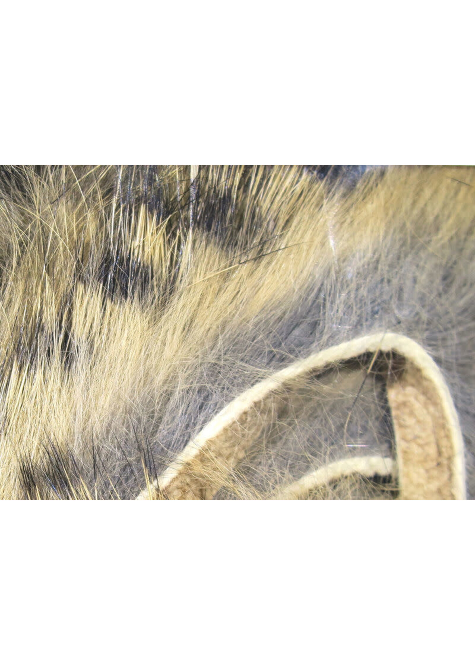 Hareline Dubbin Hareline Black Barred Rabbit Strips