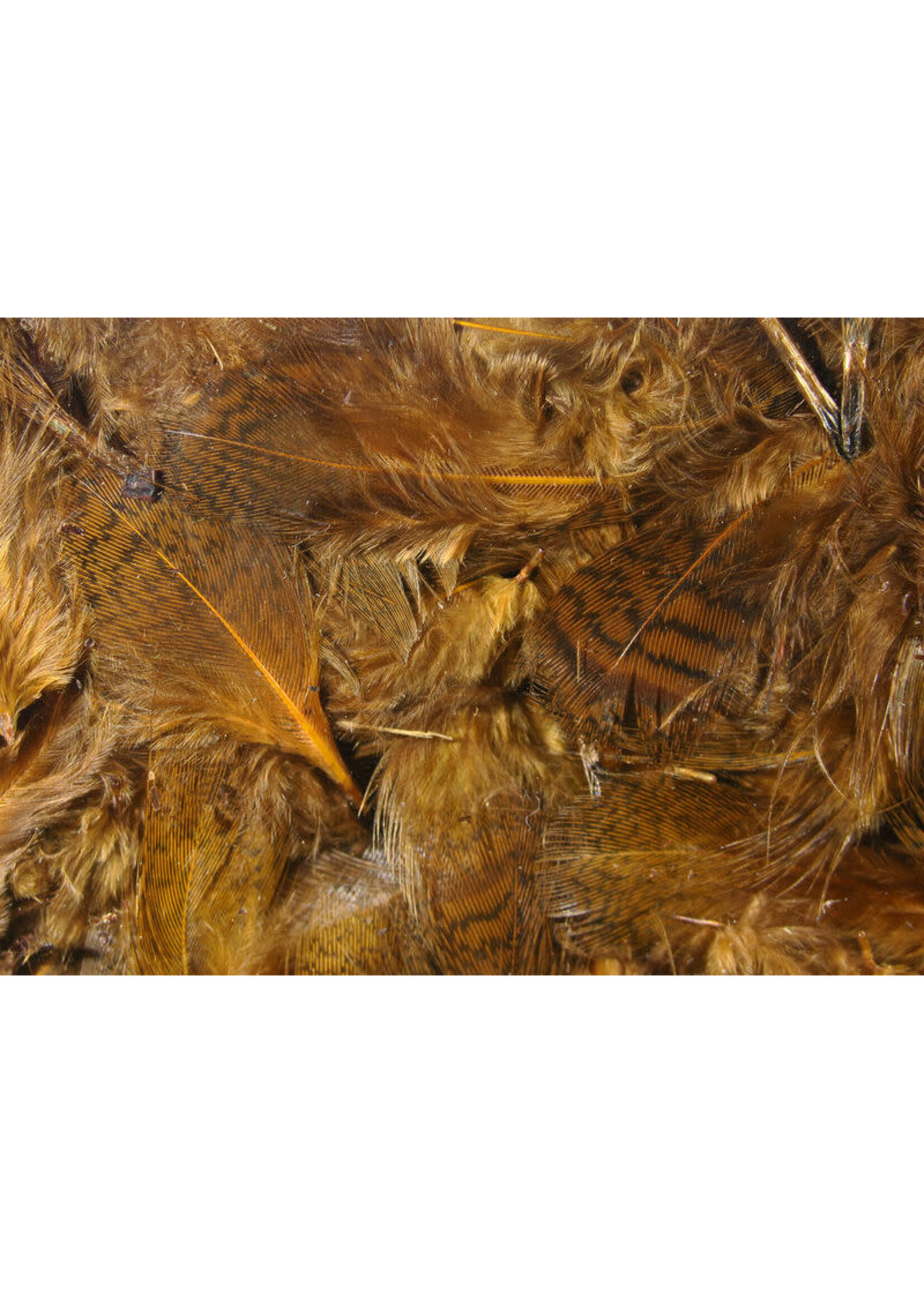 Hareline Dubbin Hungarian Partridge Feathers