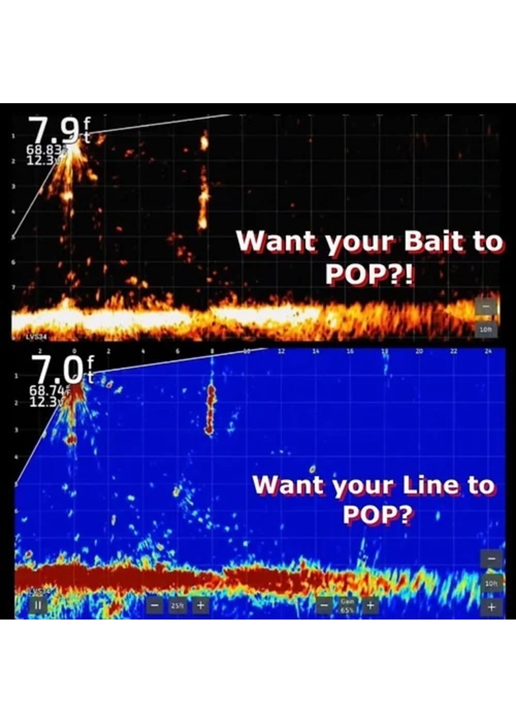 Bait-Pop Fish Formula Bait-Pop Live Sonar Intensifer