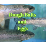 Dough Baits & Eggs