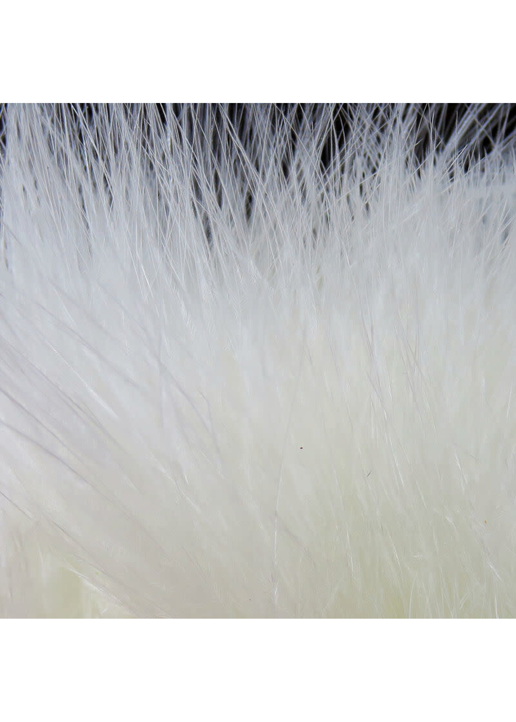 Hareline Dubbin Hareline Strung Marabou Blood Quills