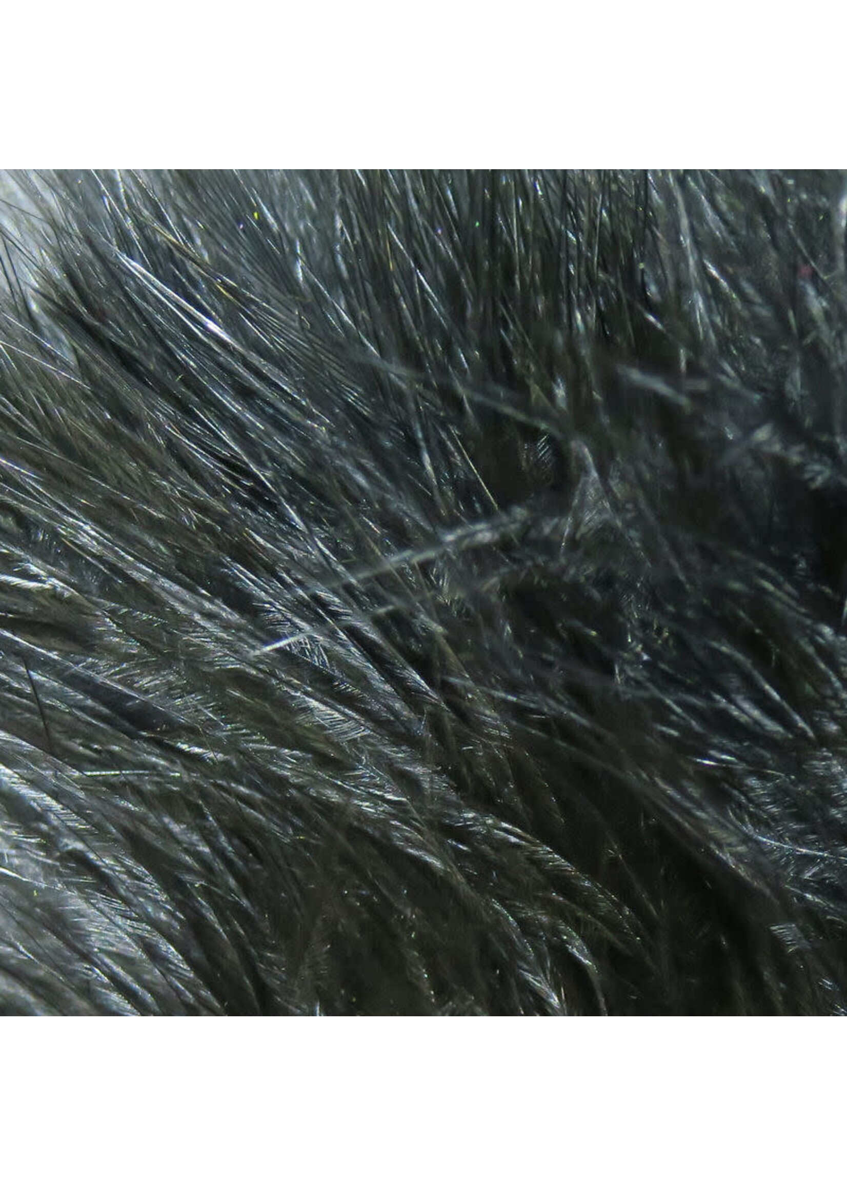 Hareline Dubbin Hareline Strung Marabou Blood Quills