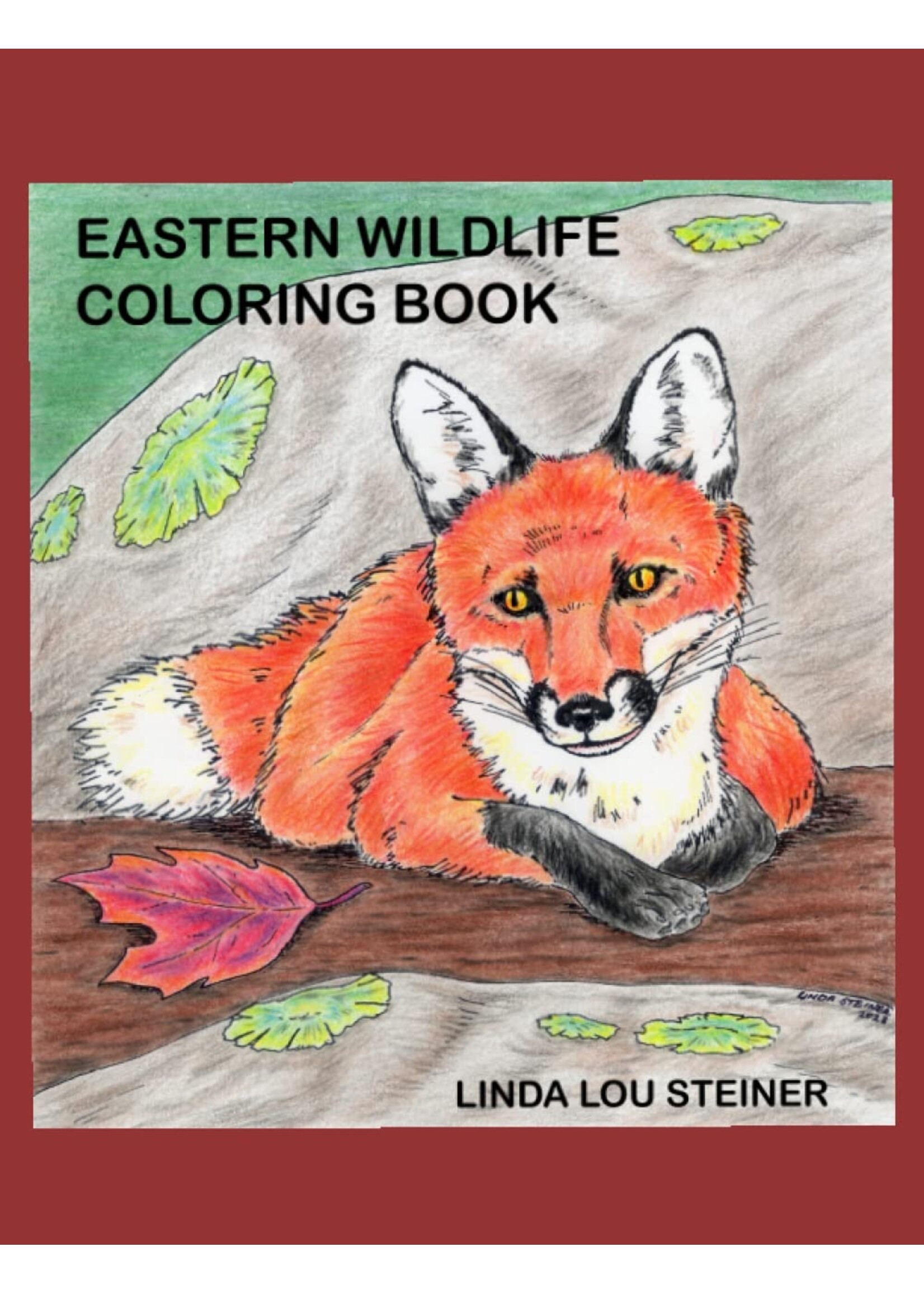 Eastern Wildlife Coloring Book by Linda Lou Steiner