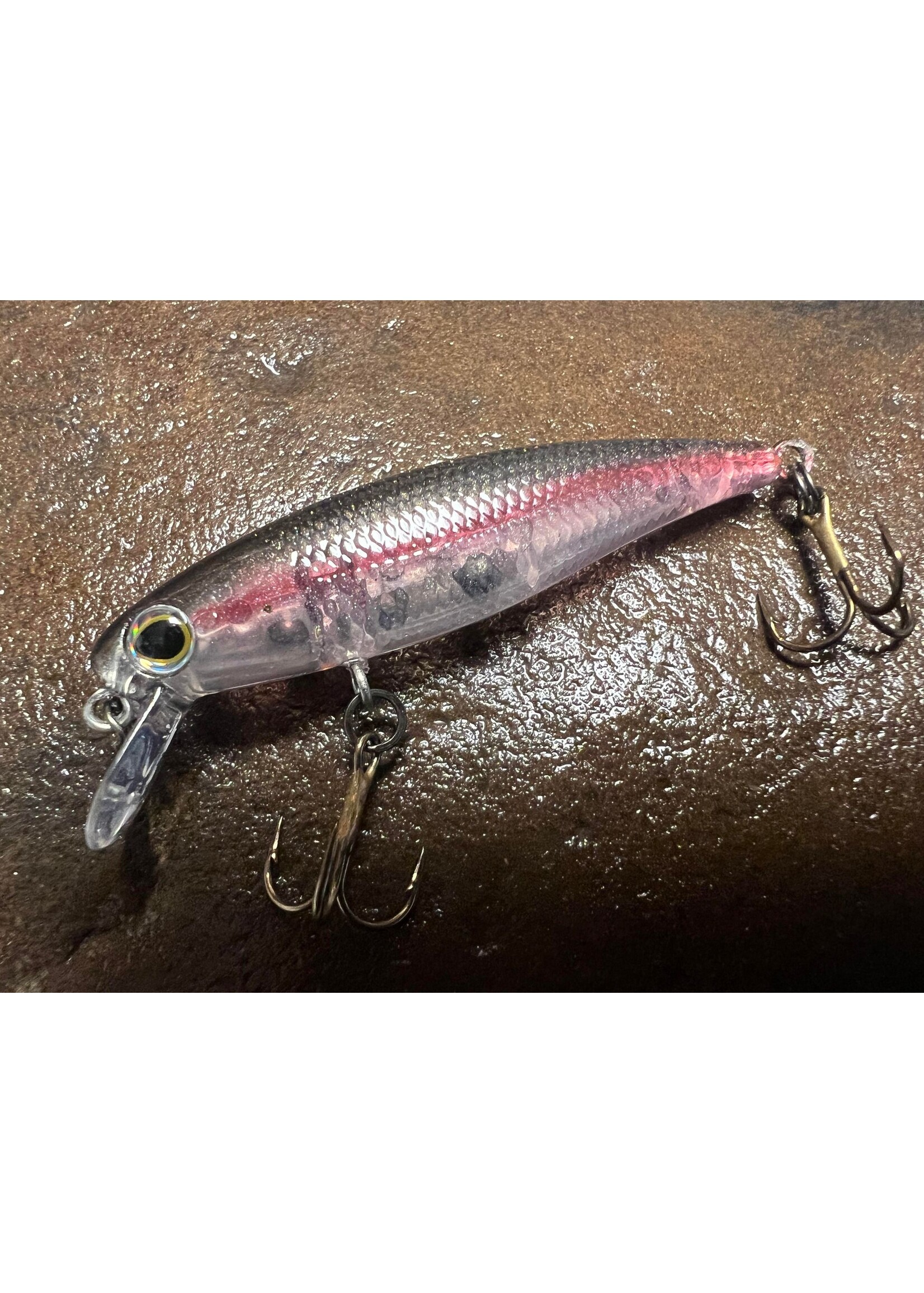 Freshwater Fishing  Bloodline Baits & Apparel