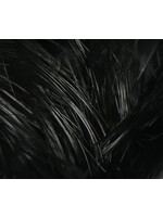 Hareline Dubbin Hareline Golden Pheasant Body Feathers