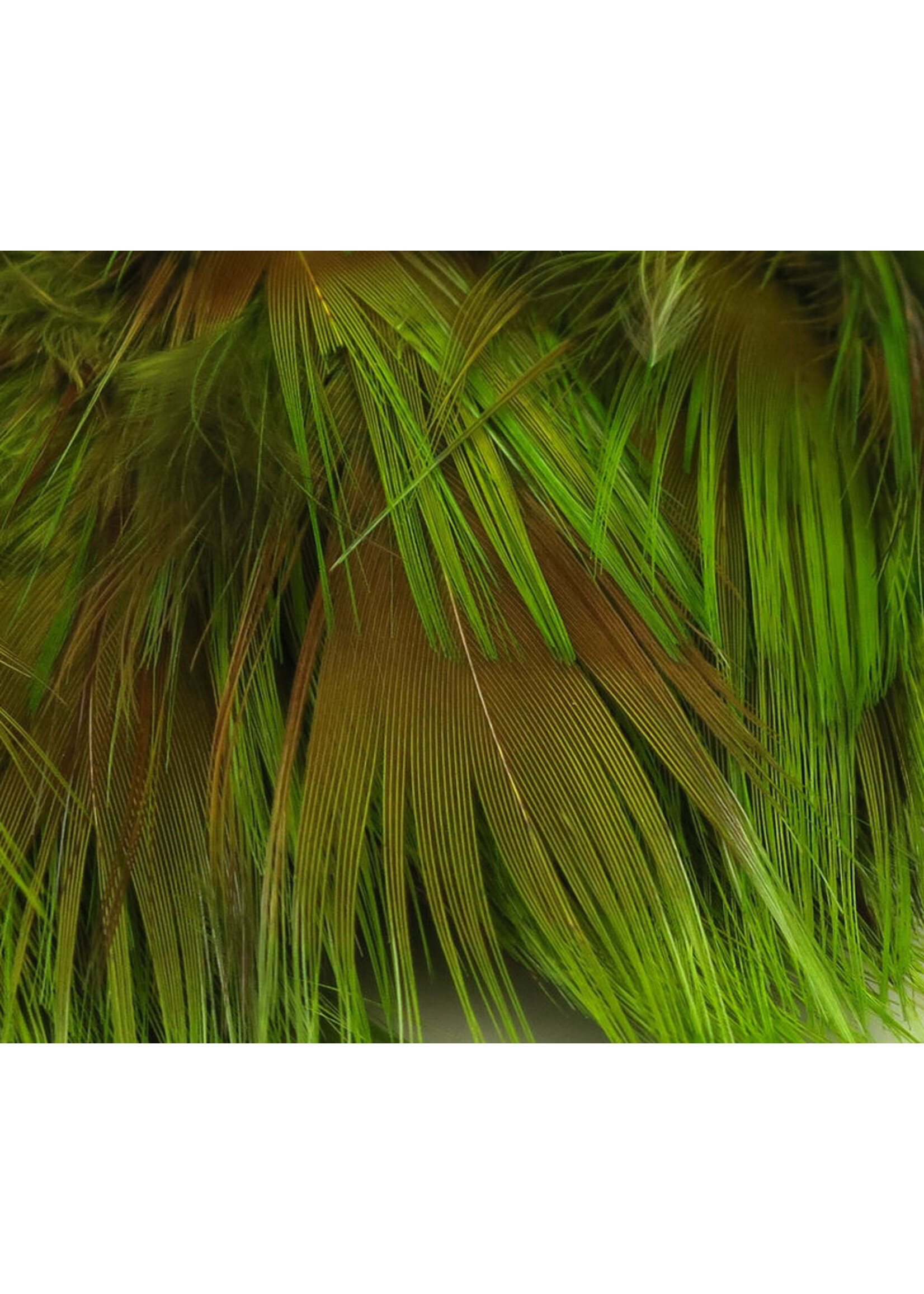 Hareline Dubbin Hareline Golden Pheasant Body Feathers