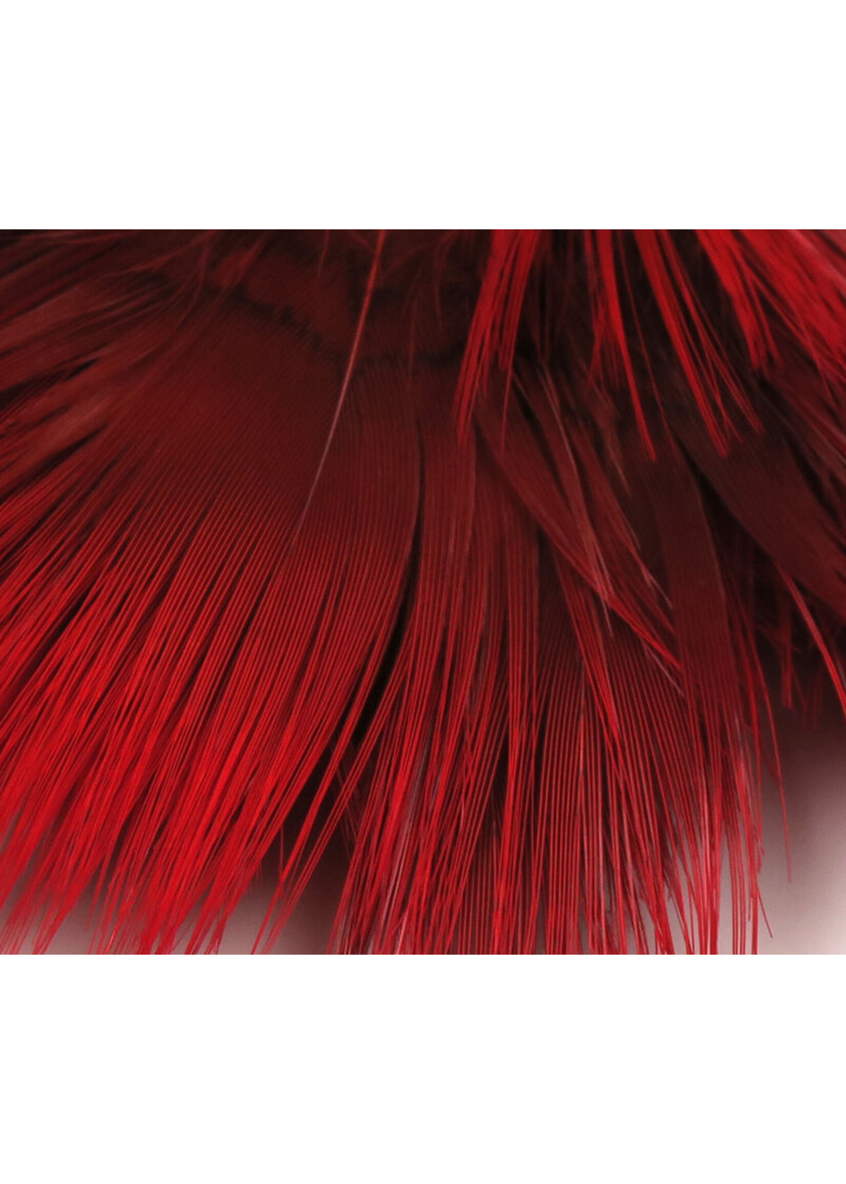 Hareline Dubbin Hareline Golden Pheasant Body Feathers