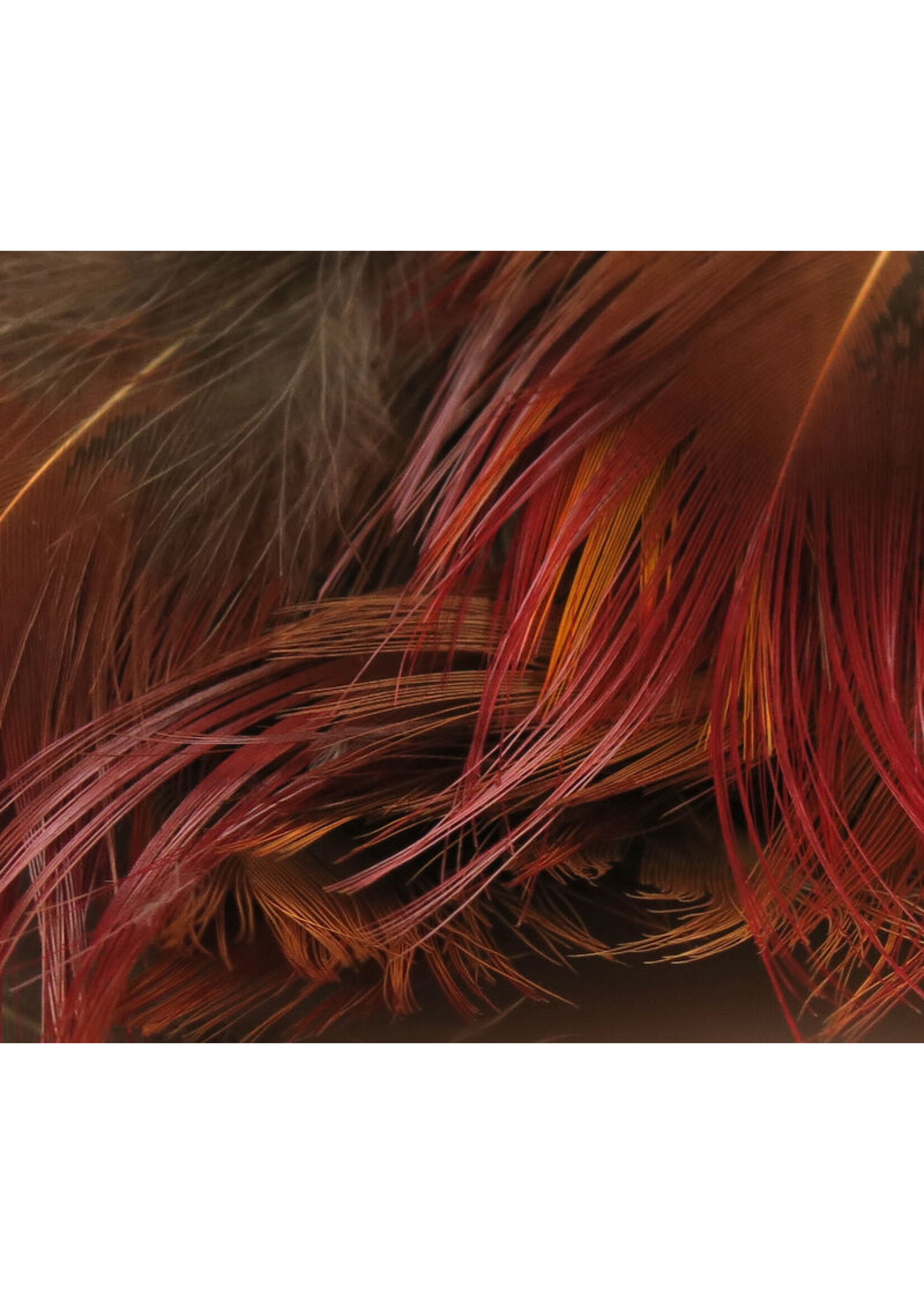 Hareline Dubbin Hareline Golden Pheasant Body Feathers